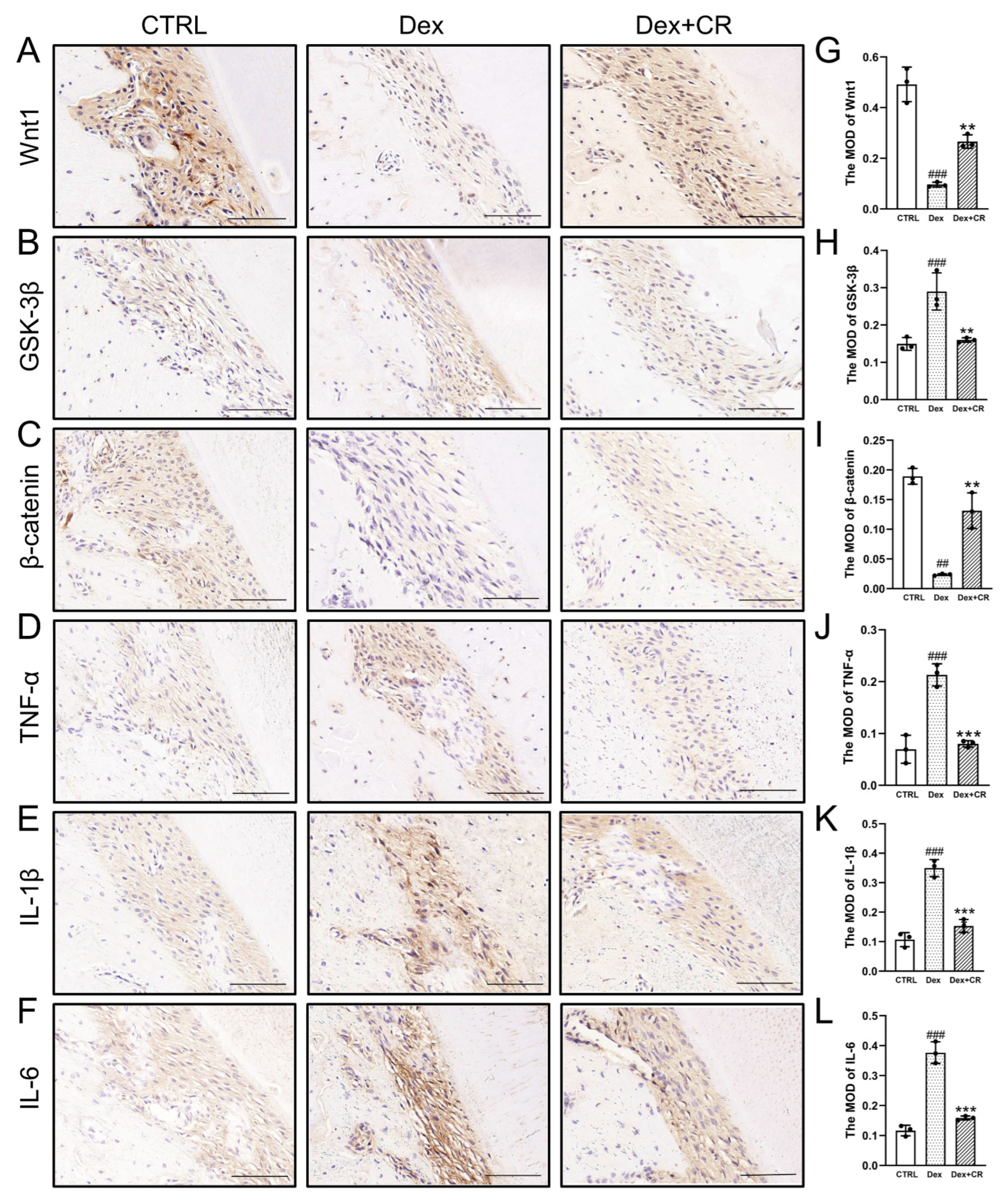 Nutrients 15 04906 g005 Nutrients 15 04906 g005