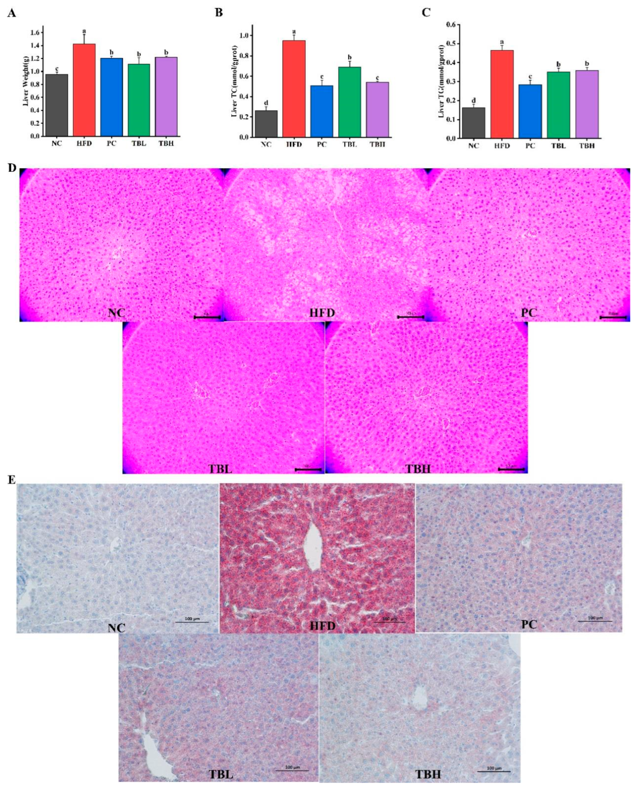 Nutrients 15 04912 g002
