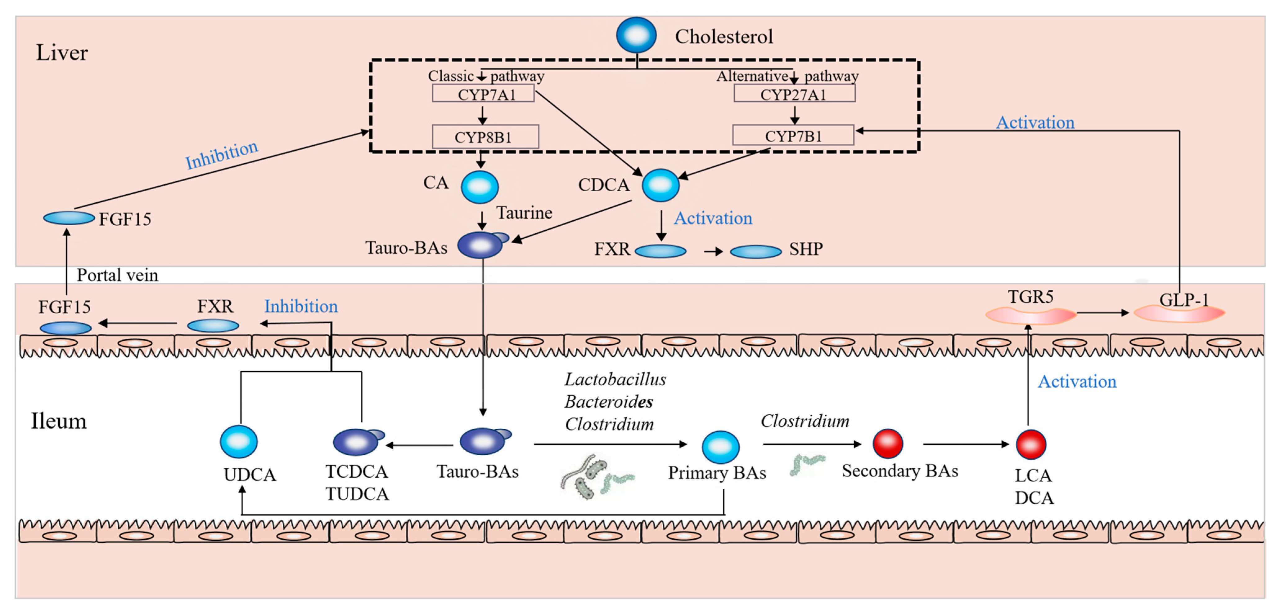 Nutrients 15 04929 g005