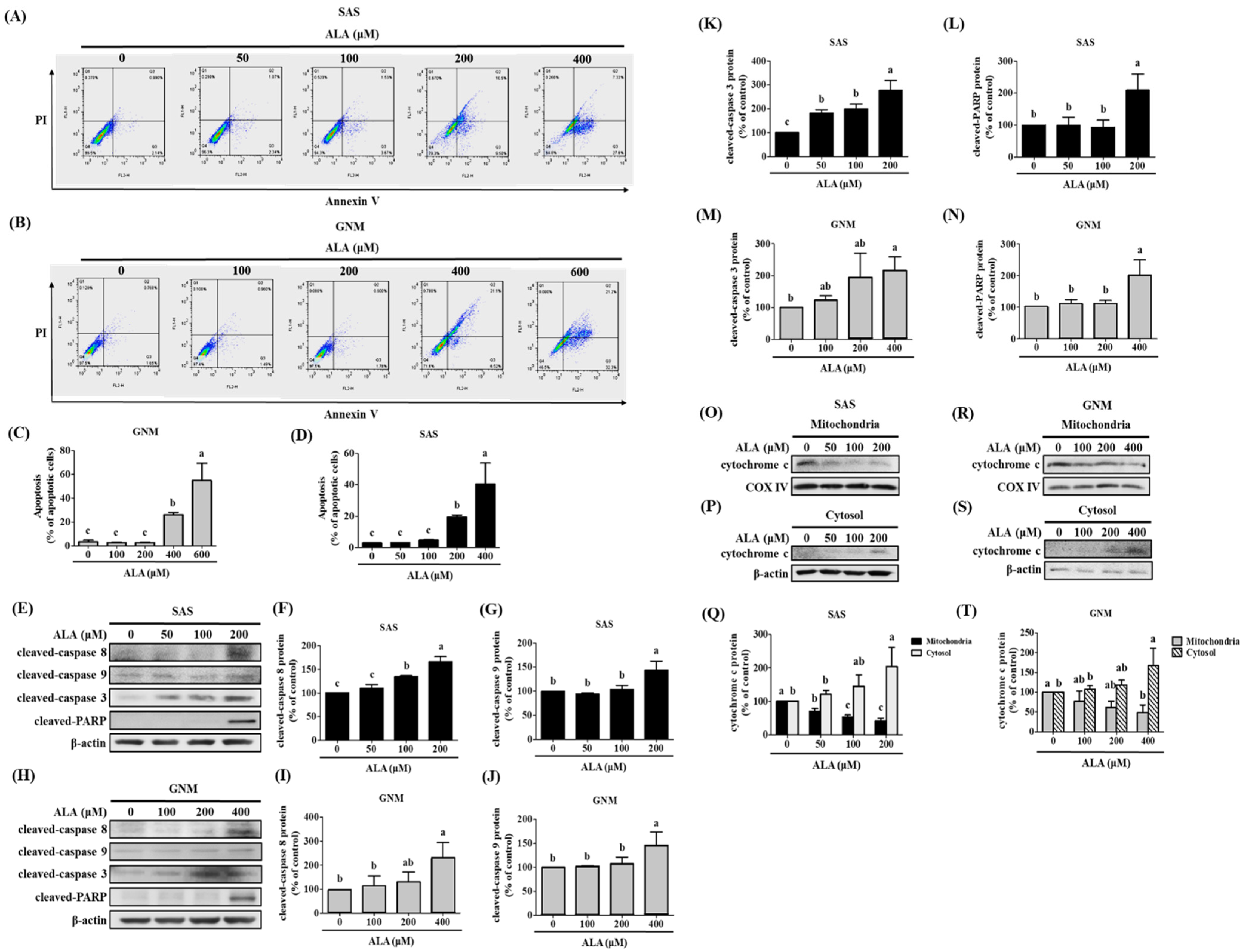 Nutrients 15 04992 g004