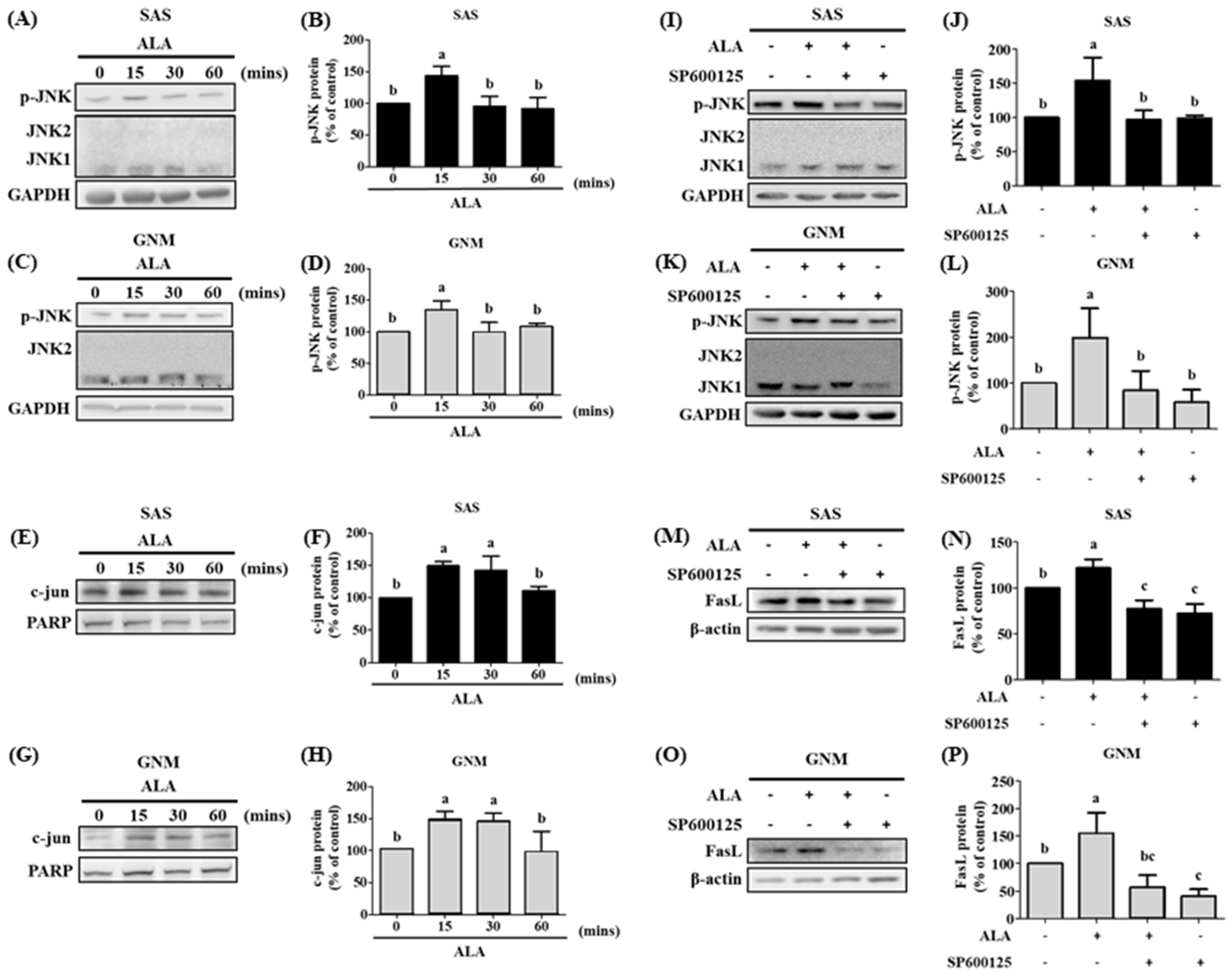 Nutrients 15 04992 g007