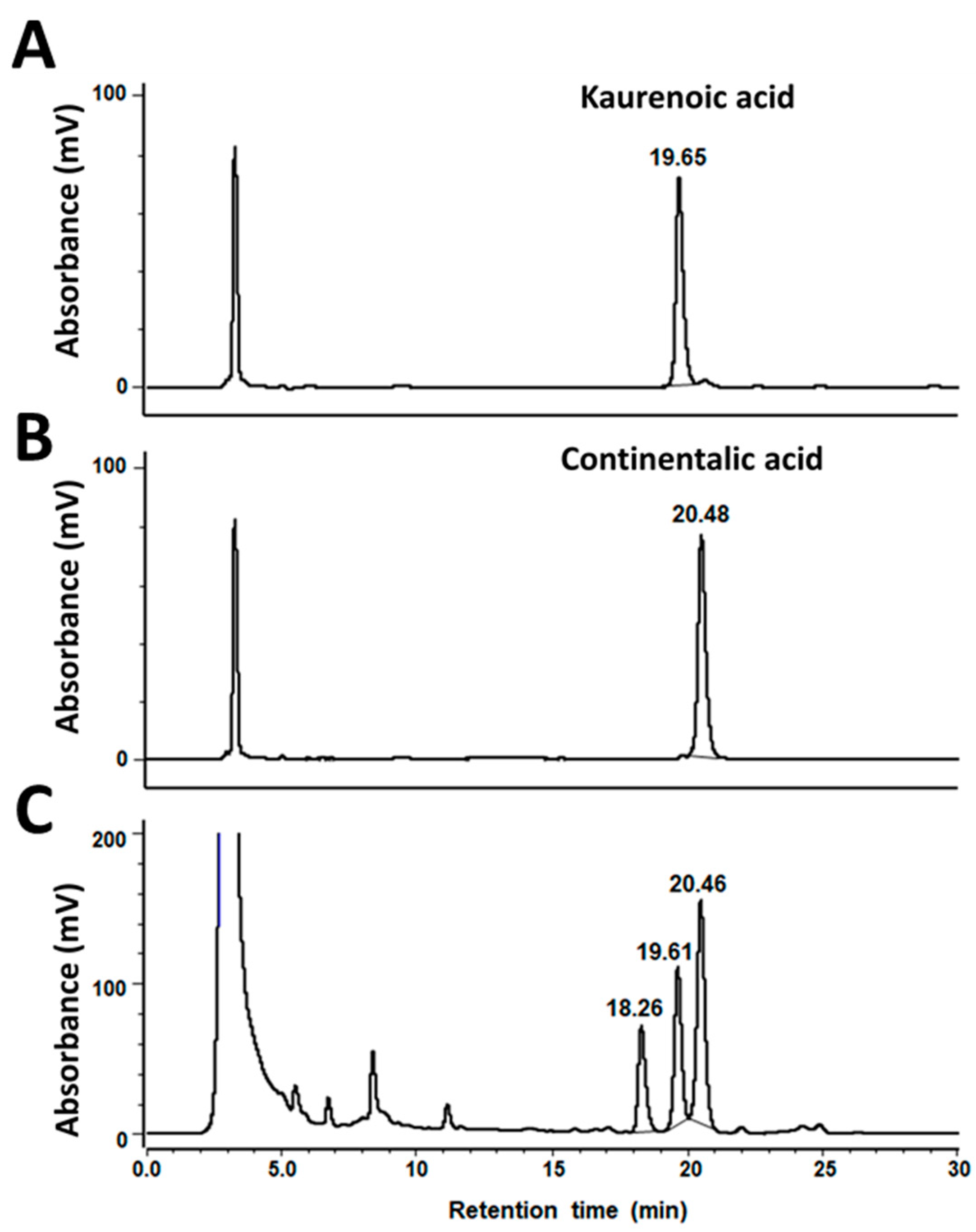 Nutrients 15 05020 g001