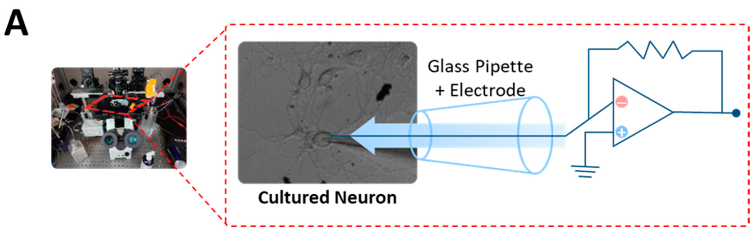 Nutrients 15 05020 g004a