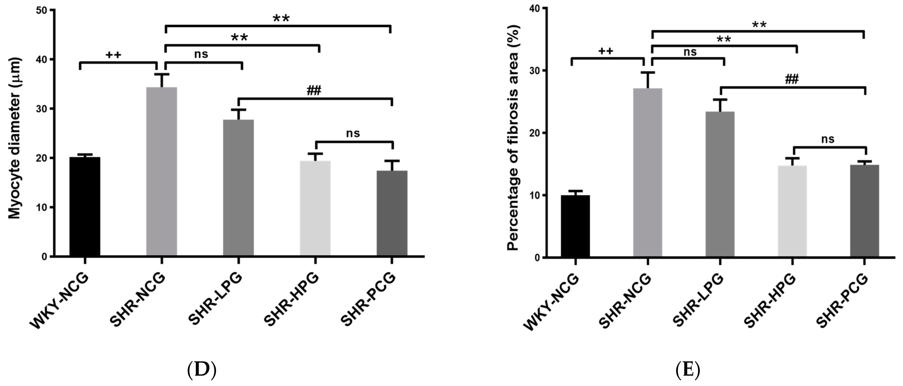 Nutrients 15 05021 g001b Nutrients 15 05021 g001b