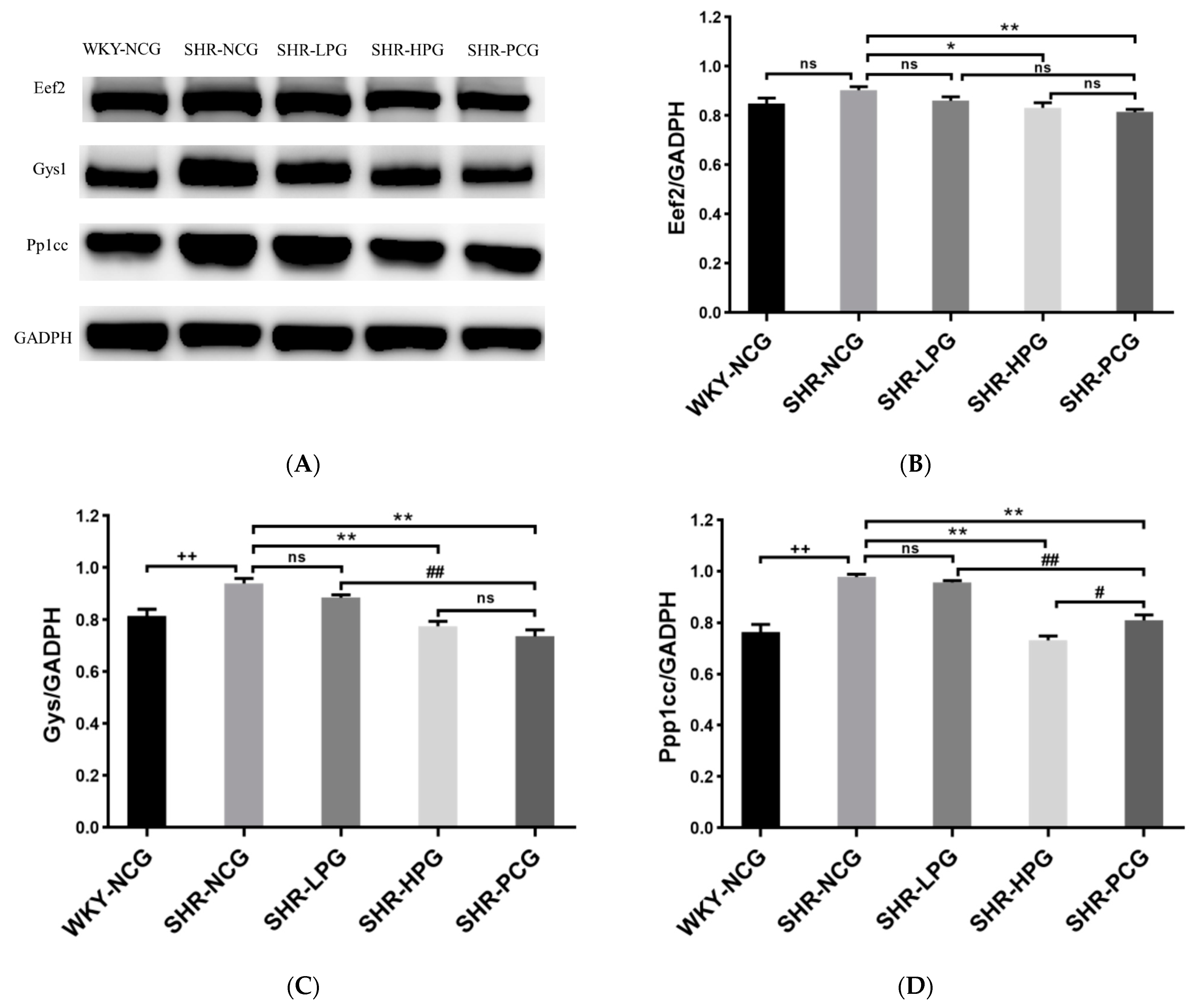 Nutrients 15 05021 g004 Nutrients 15 05021 g004