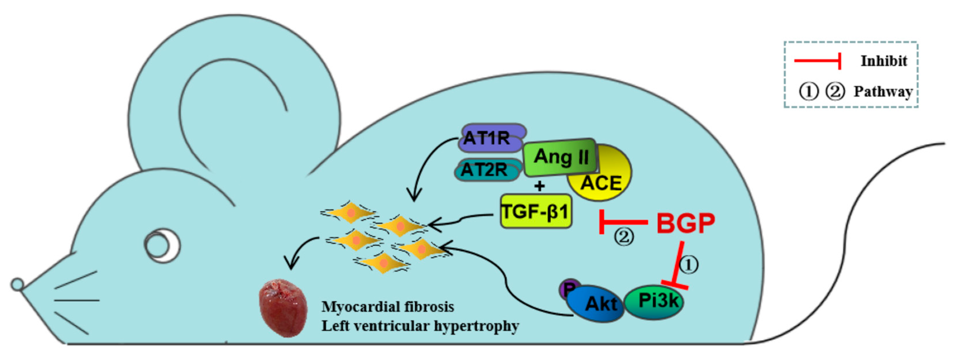 Nutrients 15 05021 g006 Nutrients 15 05021 g006