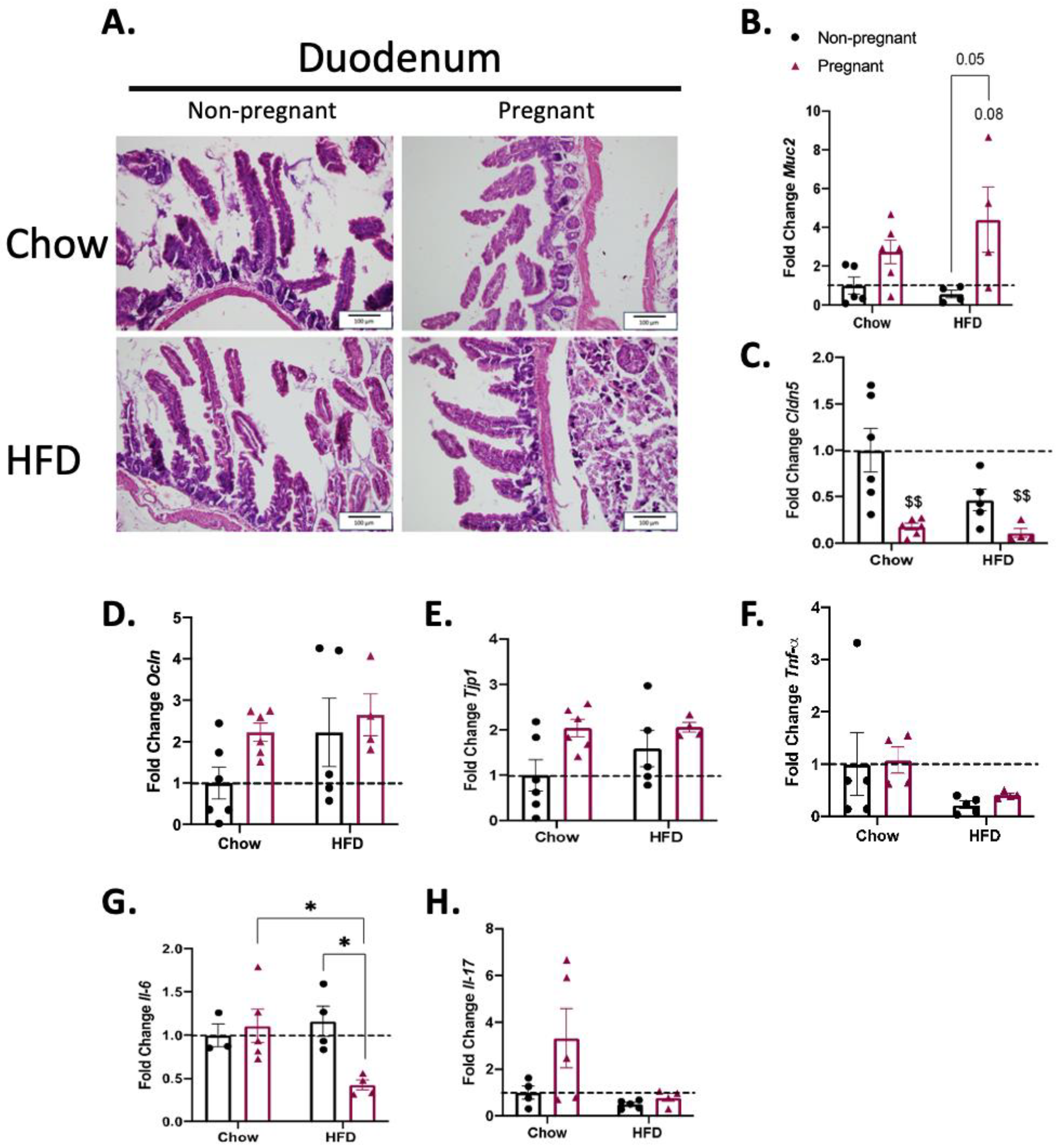 Nutrients 15 05041 g003 Nutrients 15 05041 g003