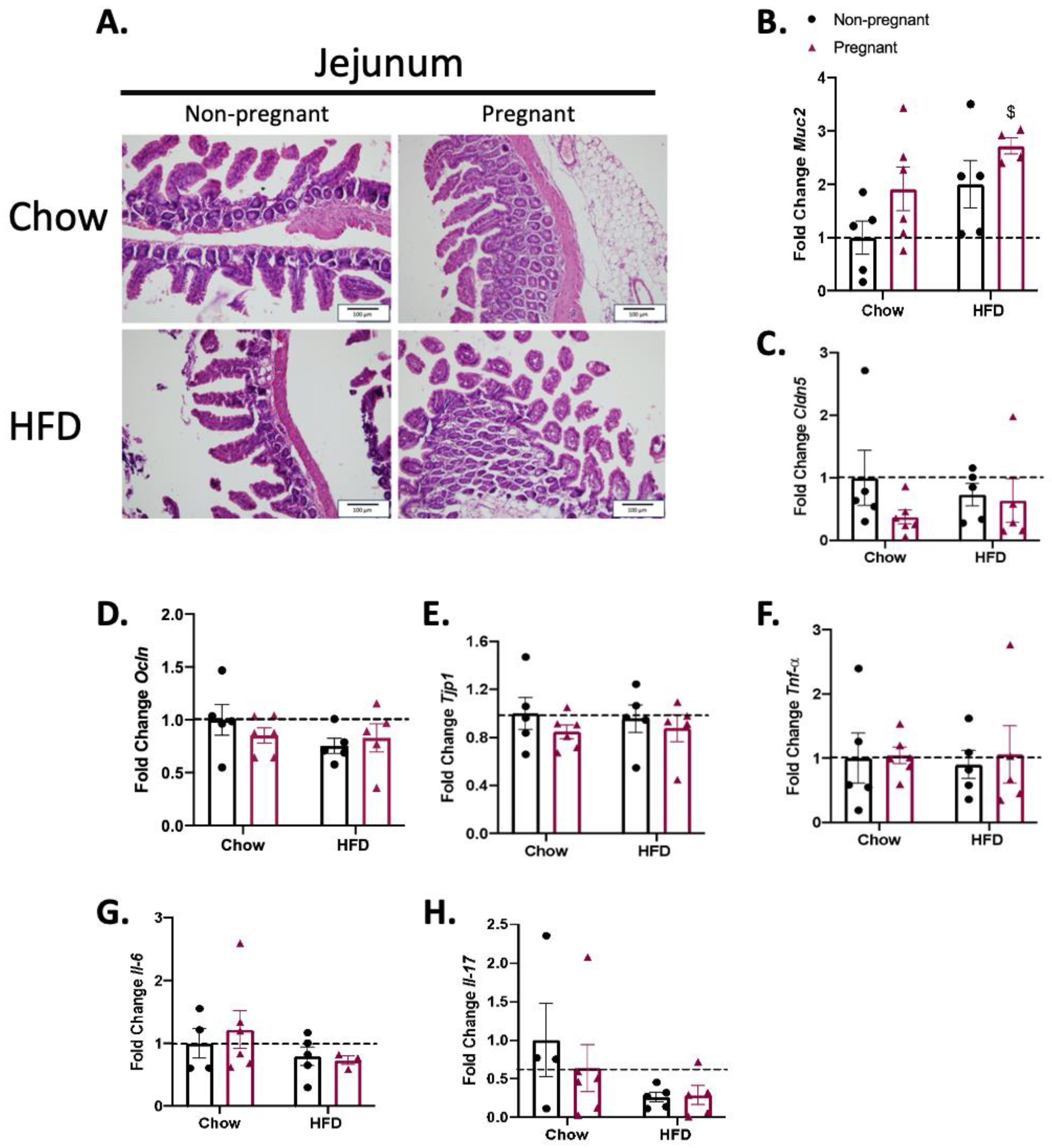 Nutrients 15 05041 g004 Nutrients 15 05041 g004