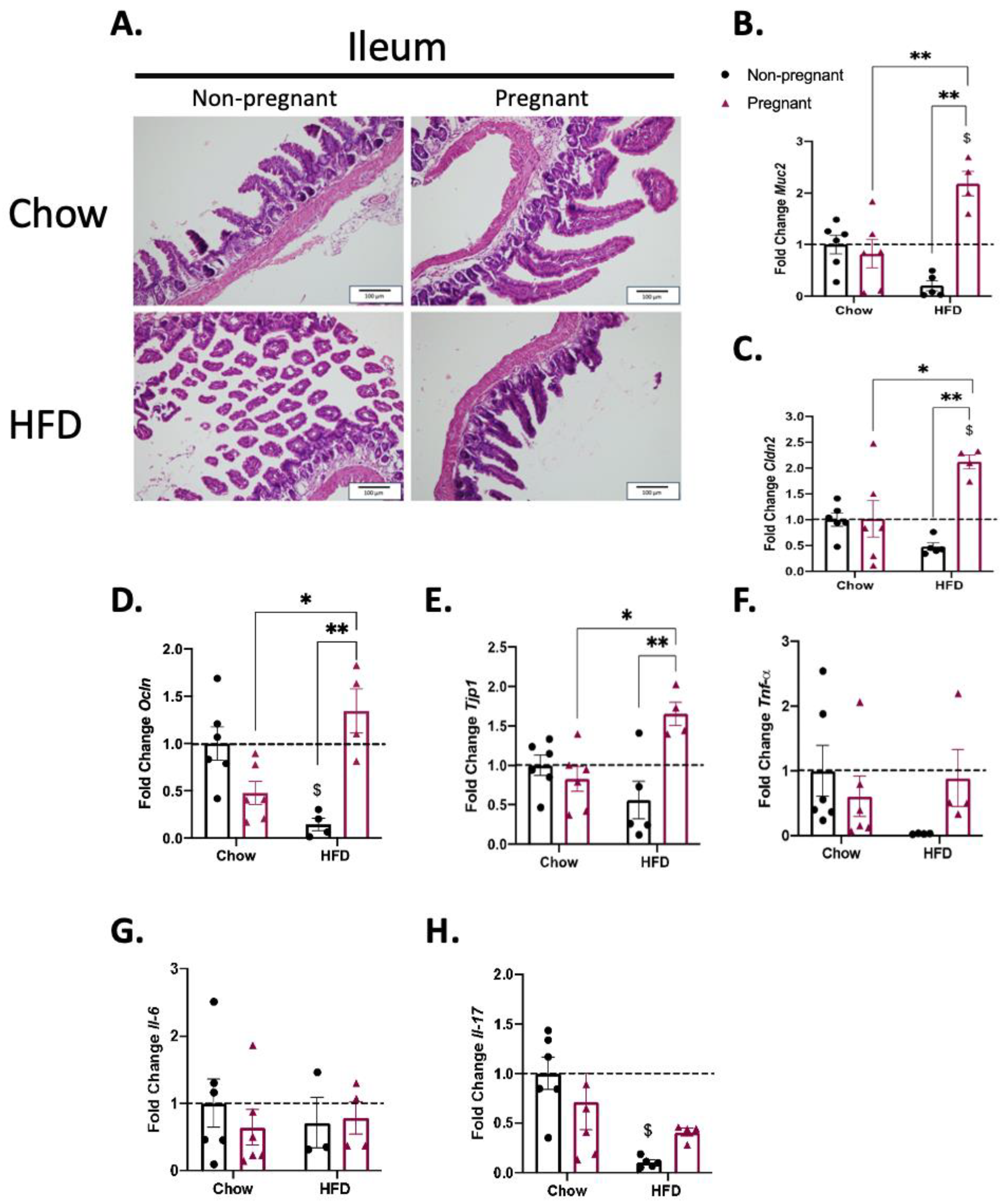 Nutrients 15 05041 g005 Nutrients 15 05041 g005