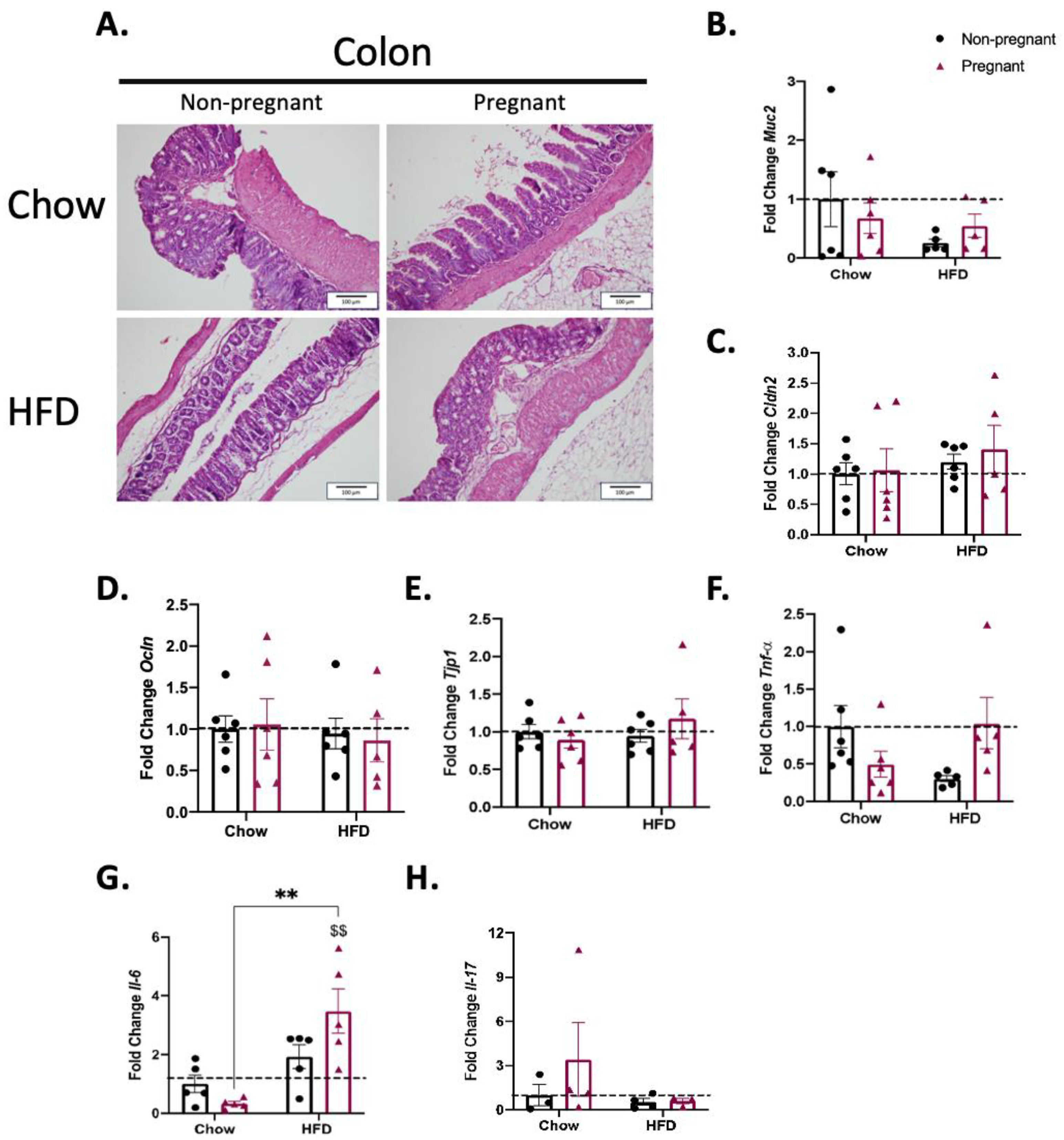 Nutrients 15 05041 g006 Nutrients 15 05041 g006