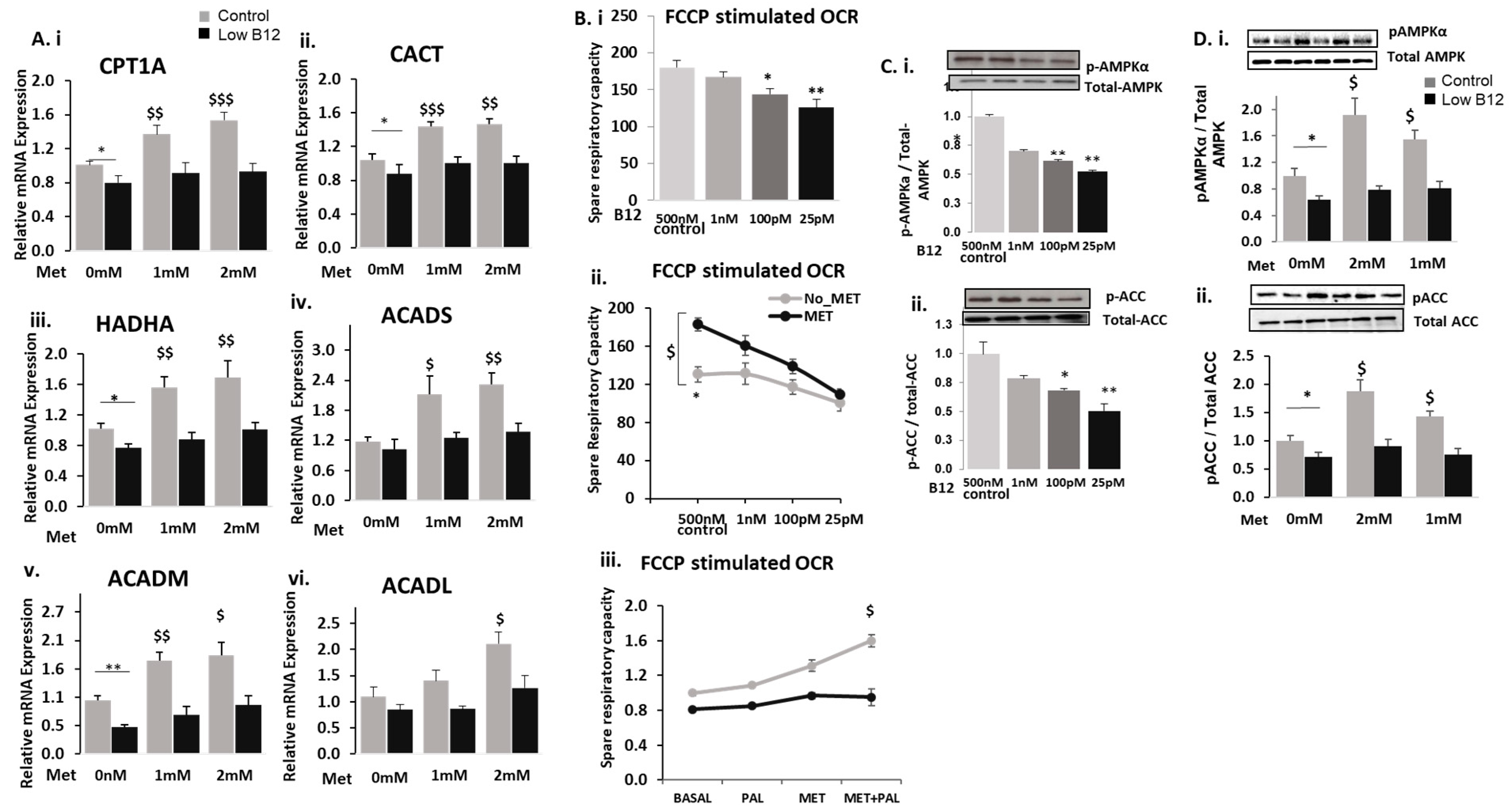 Nutrients 15 05046 g002