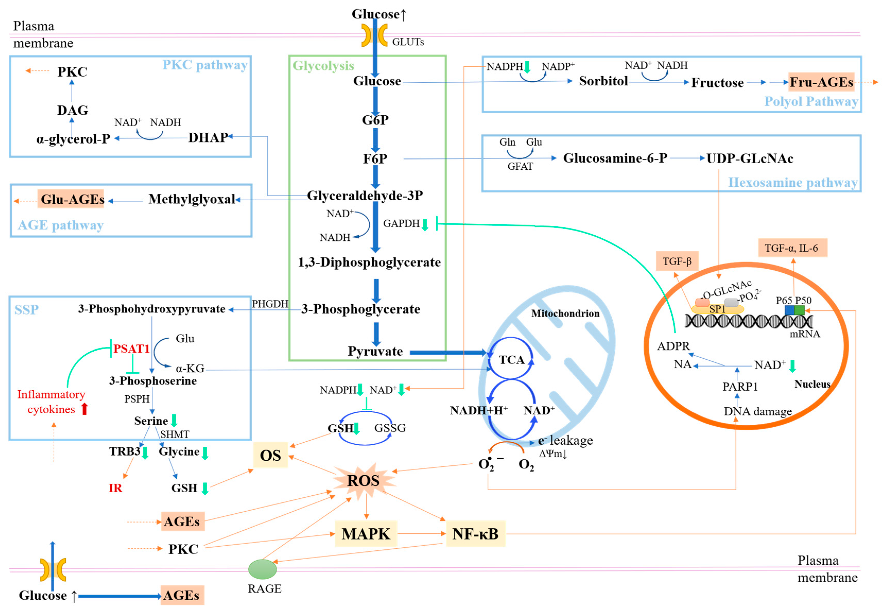 Nutrients 15 05080 g002