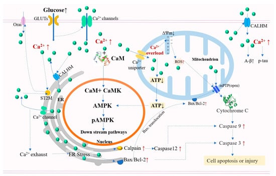 Nutrients Free Full Text A Comprehensive Review of the Effects