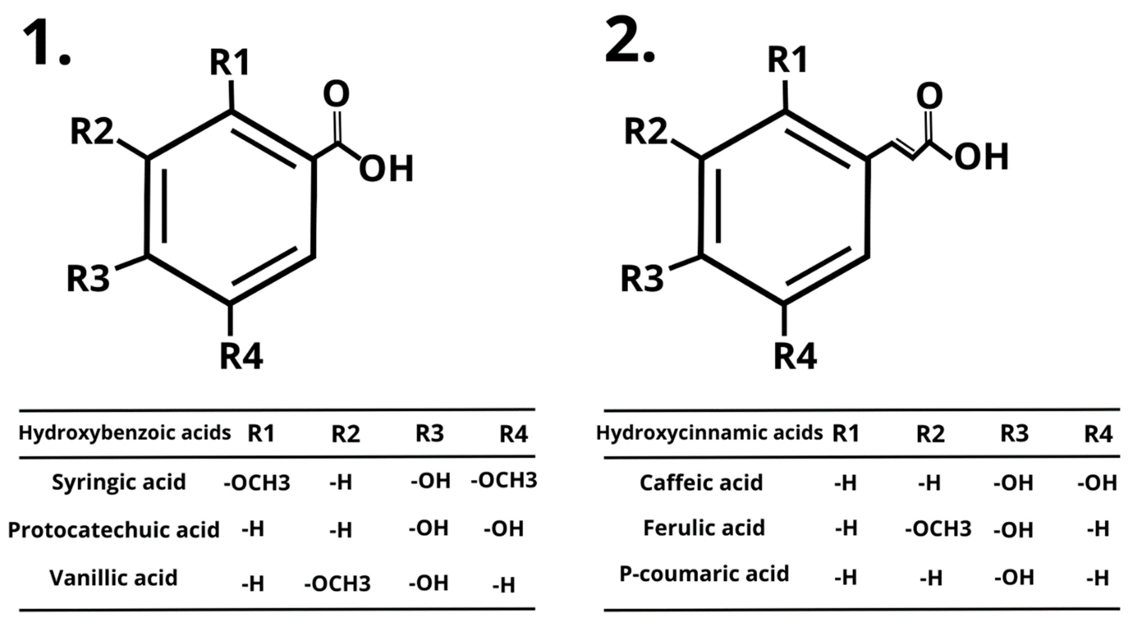 Nutrients 16 00010 g002