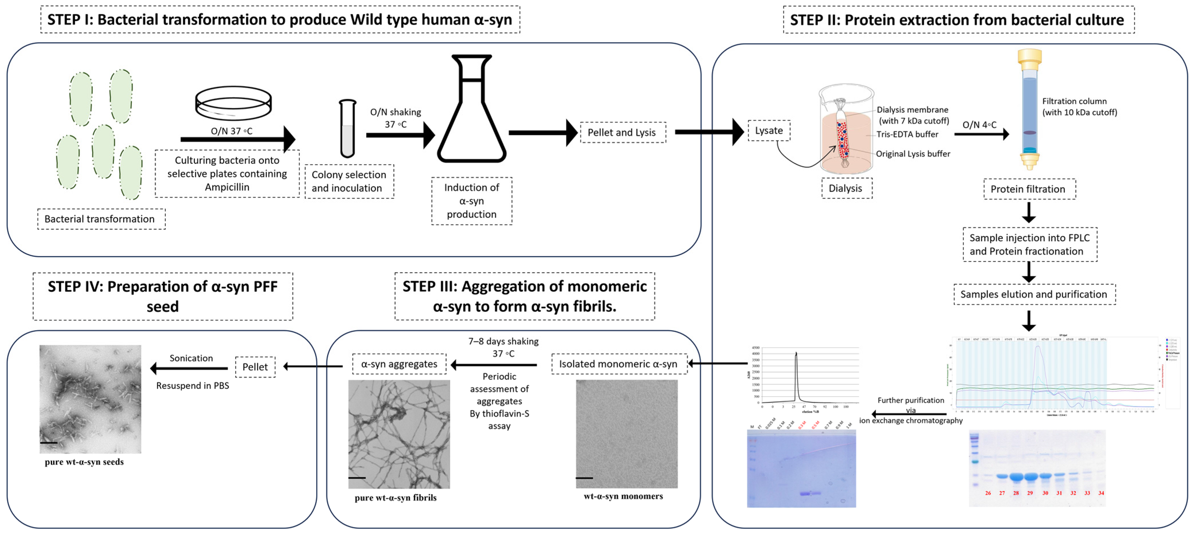 Nutrients 16 00085 g002