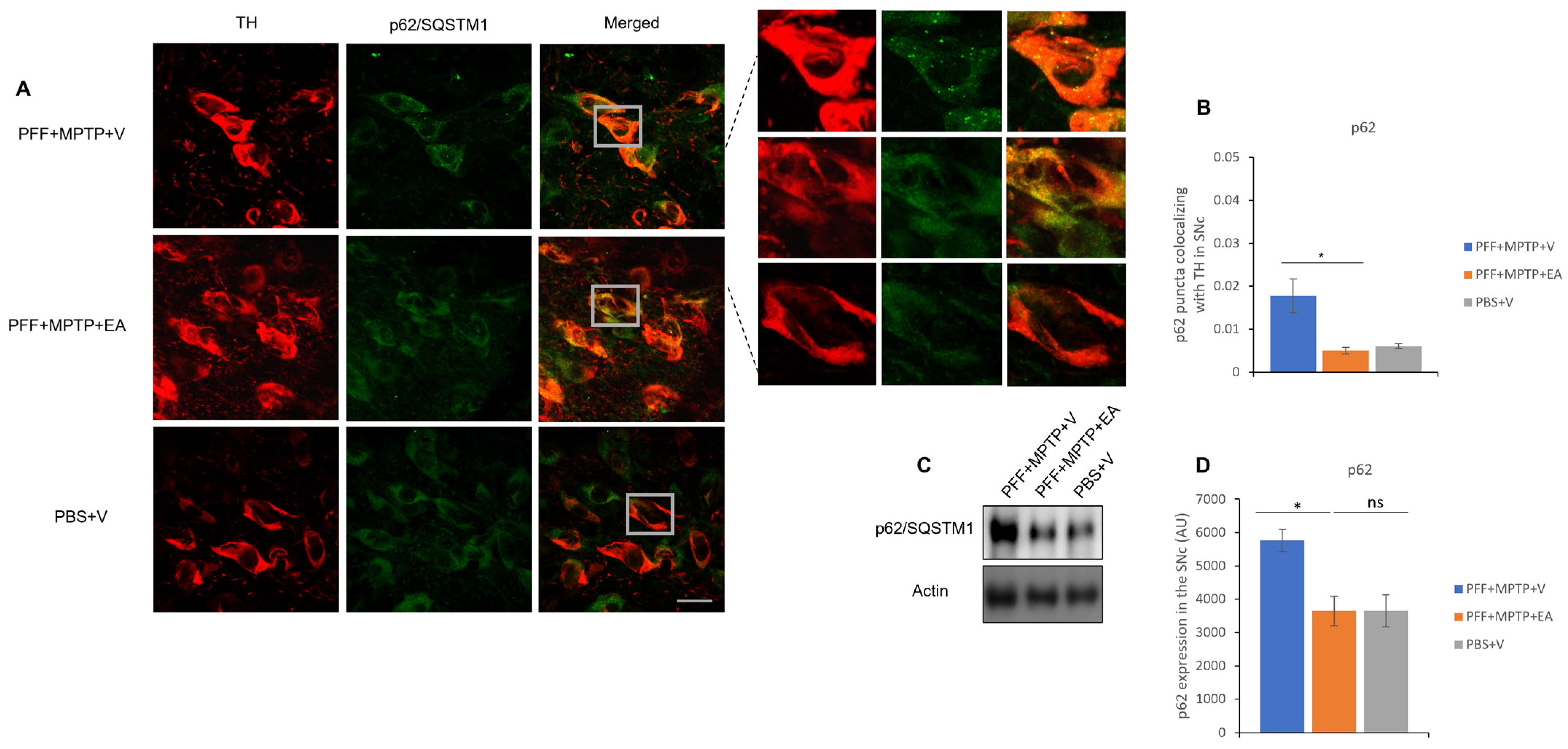 Nutrients 16 00085 g009