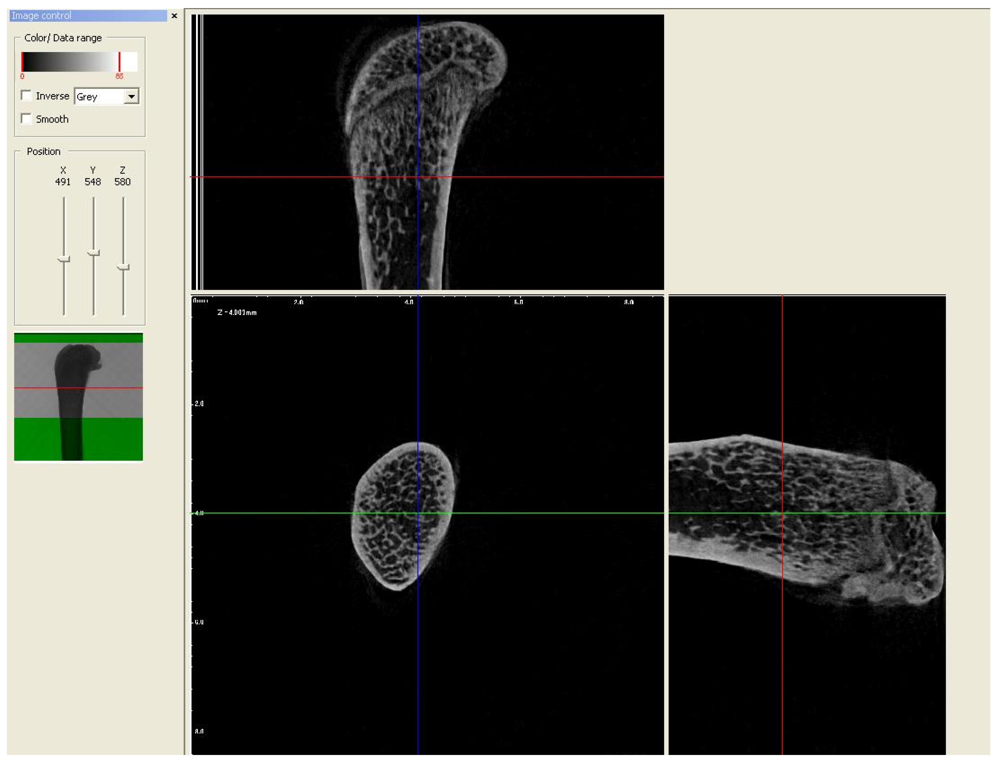 Nutrients 16 00091 g005