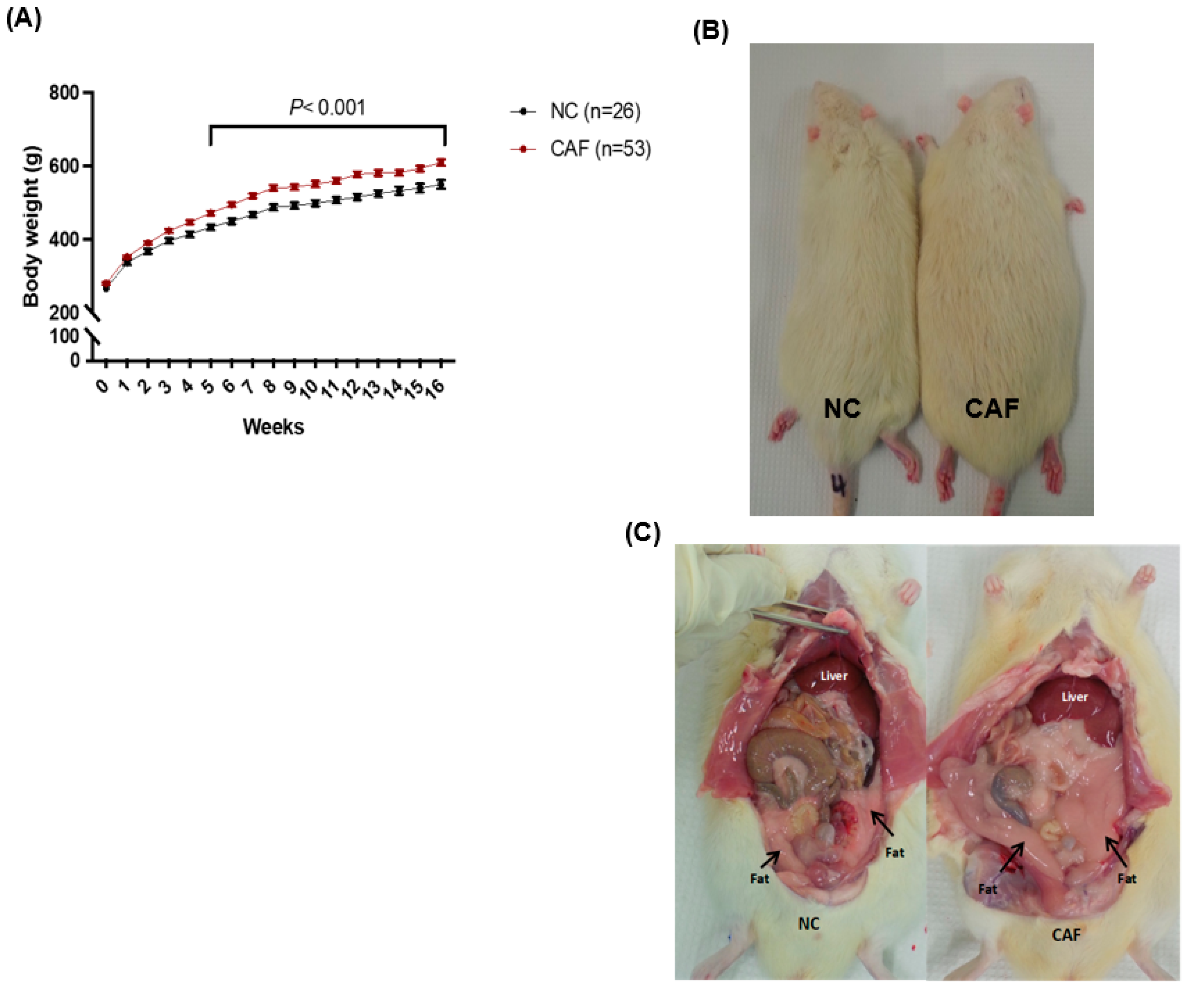 Nutrients 16 00115 g002 Nutrients 16 00115 g002