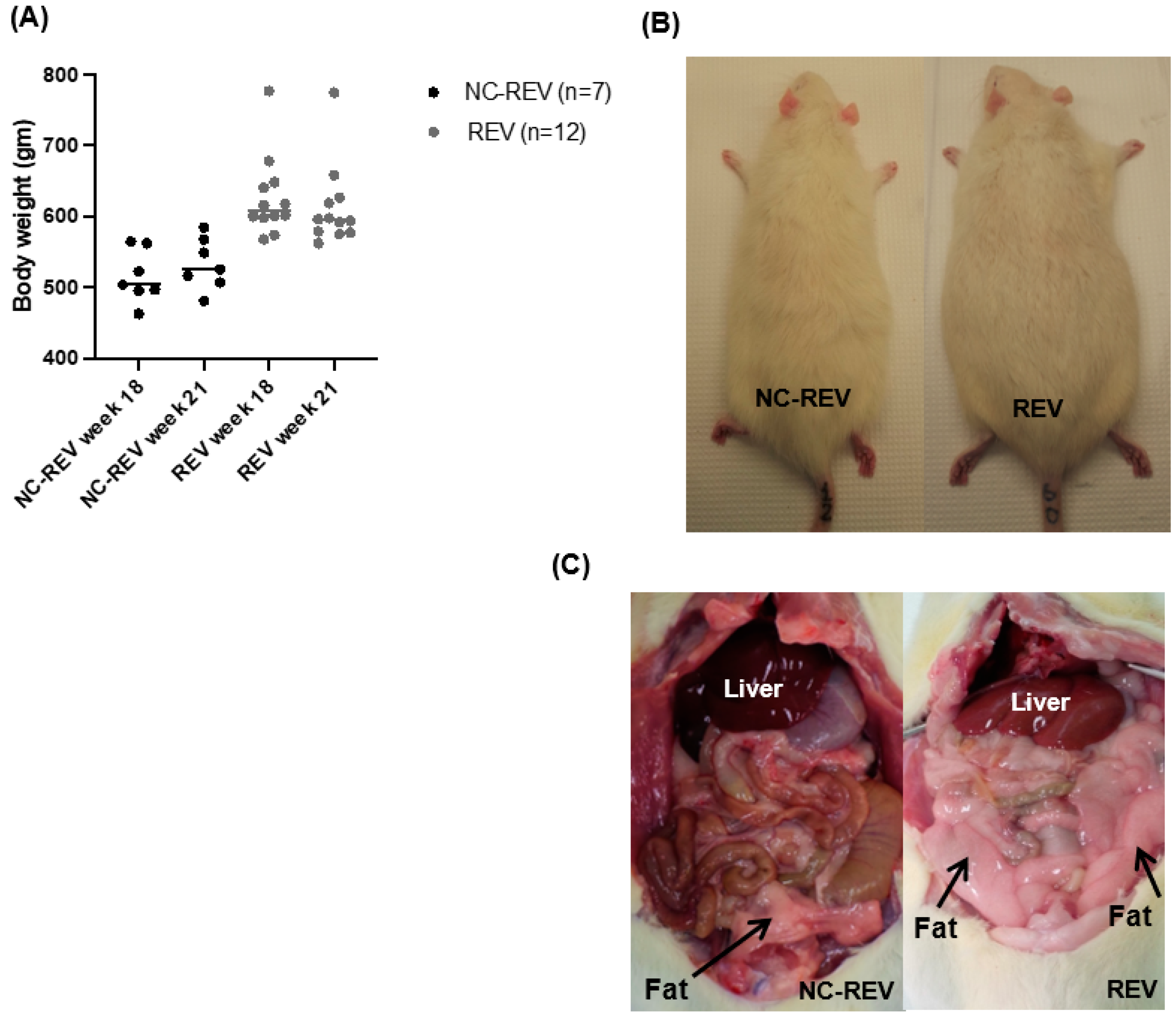 Nutrients 16 00115 g003 Nutrients 16 00115 g003