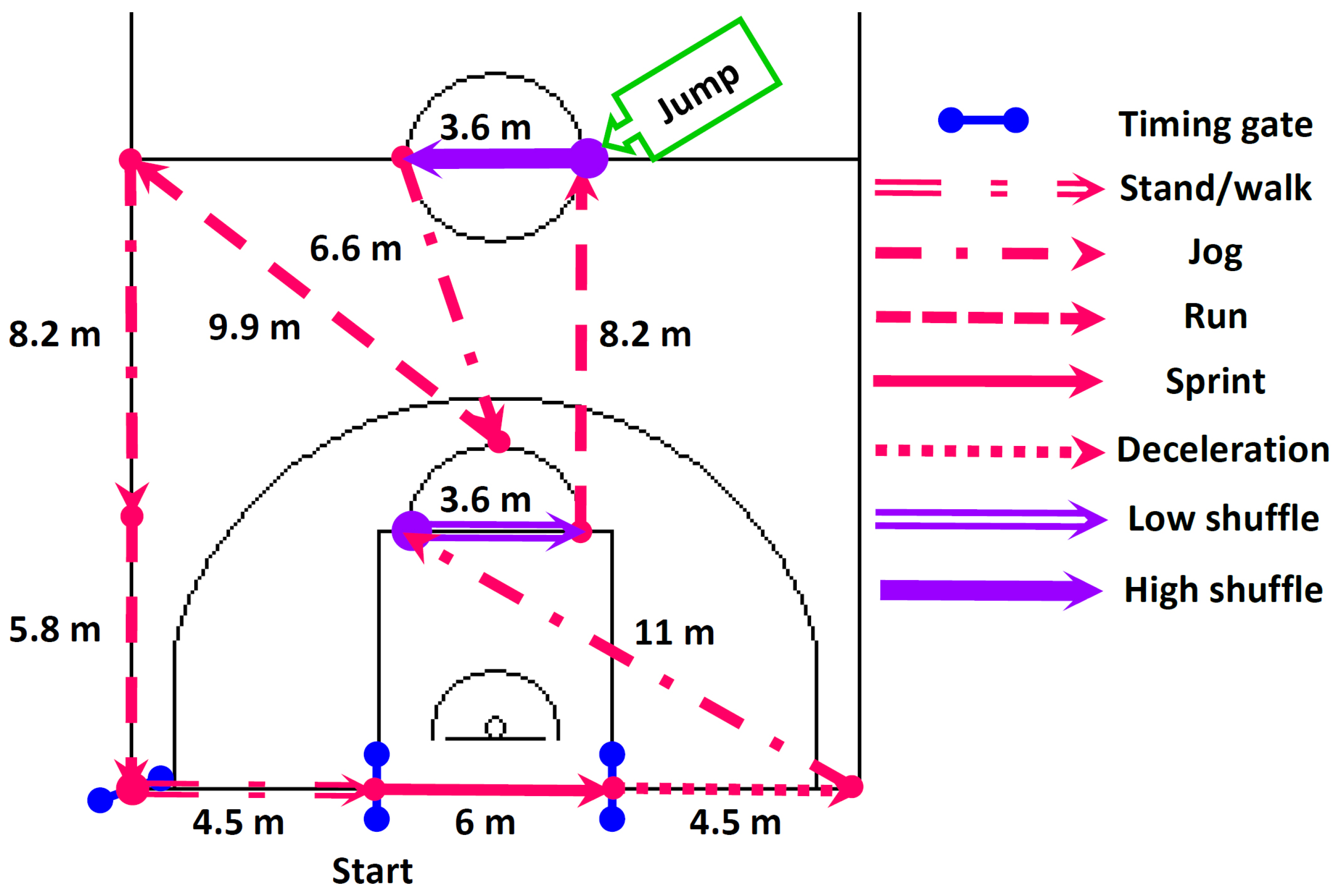 Nutrients 16 00170 g002