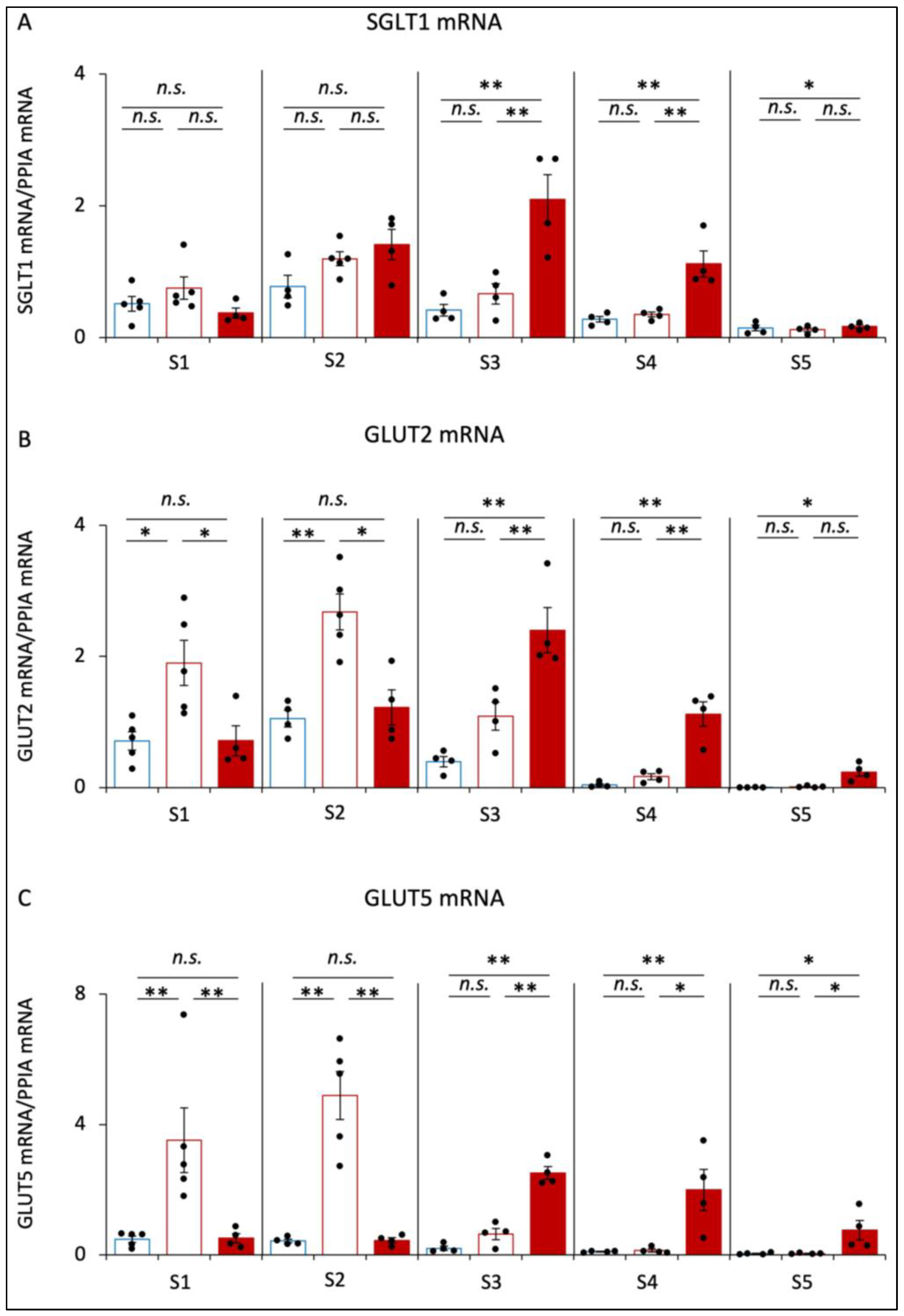 Nutrients 16 00196 g004 Nutrients 16 00196 g004