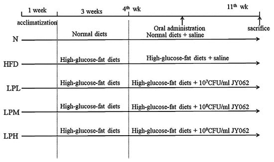 Nutrients | Free Full-Text | Lactobacillus paracasei JY062 