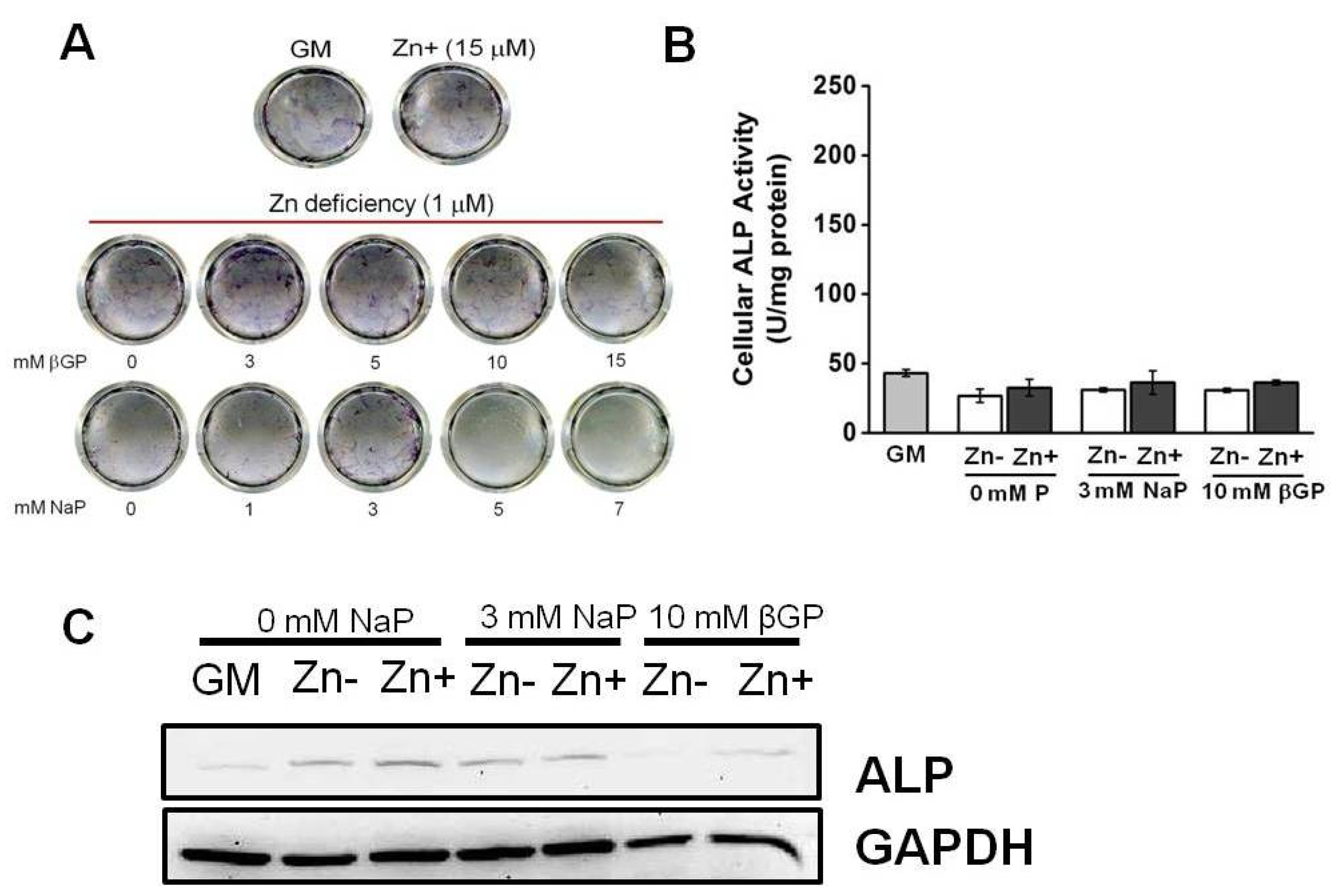 Nutrients 16 00291 g003 Nutrients 16 00291 g003