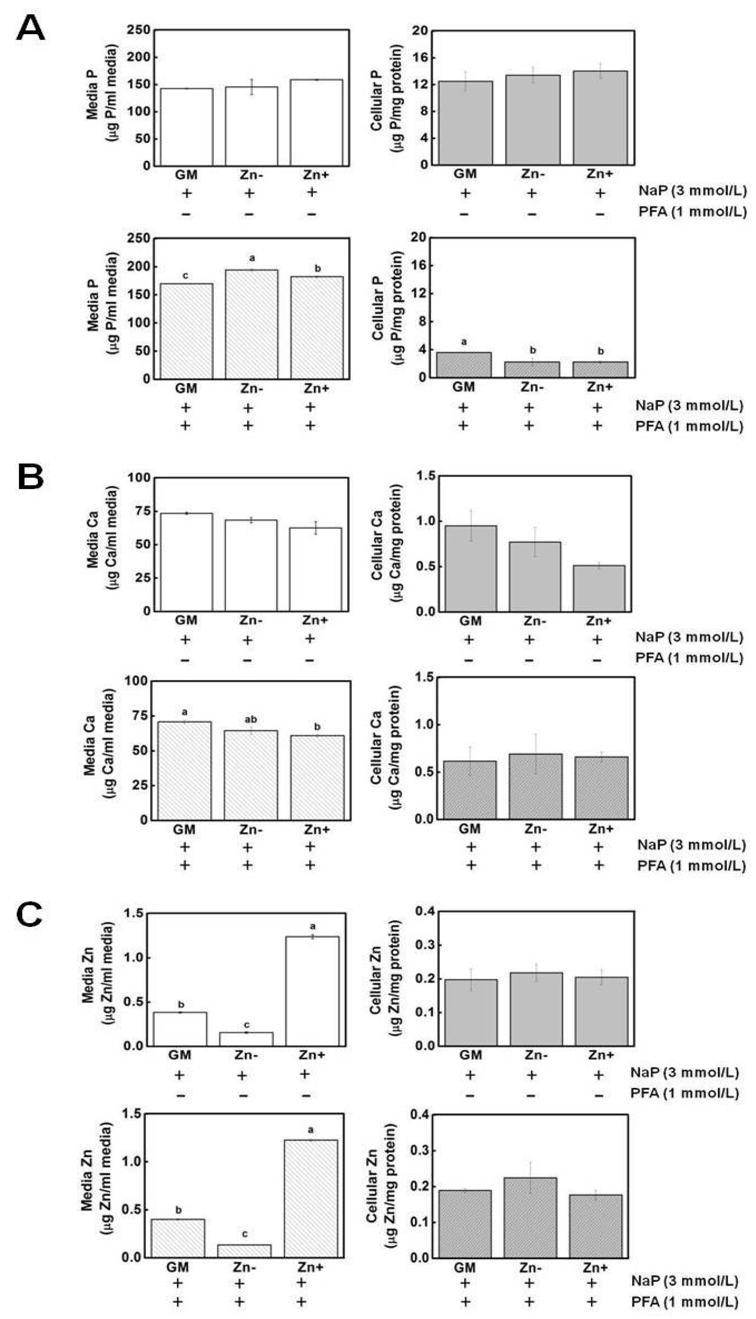 Nutrients 16 00291 g006 Nutrients 16 00291 g006