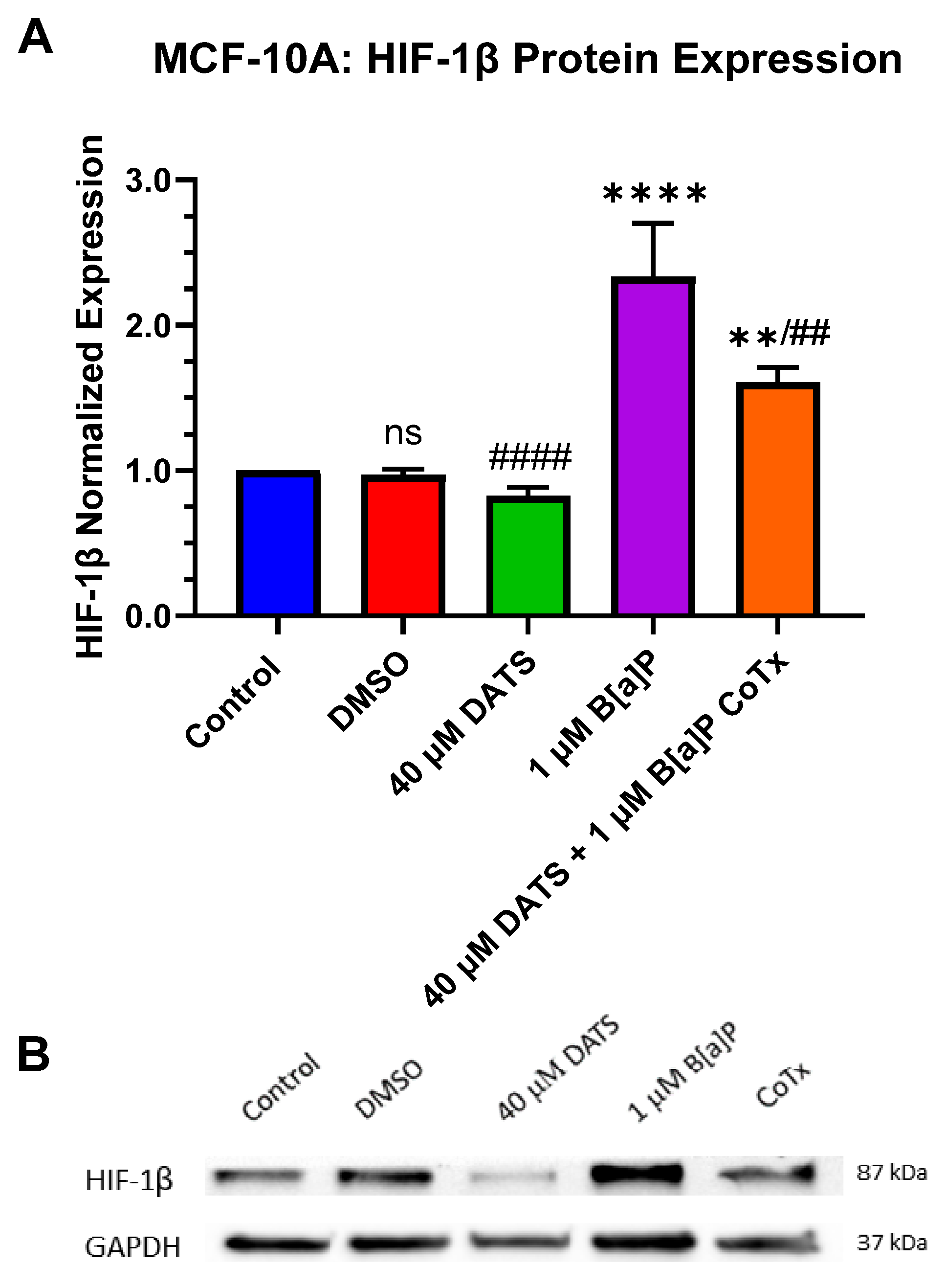 Nutrients 16 00300 g007