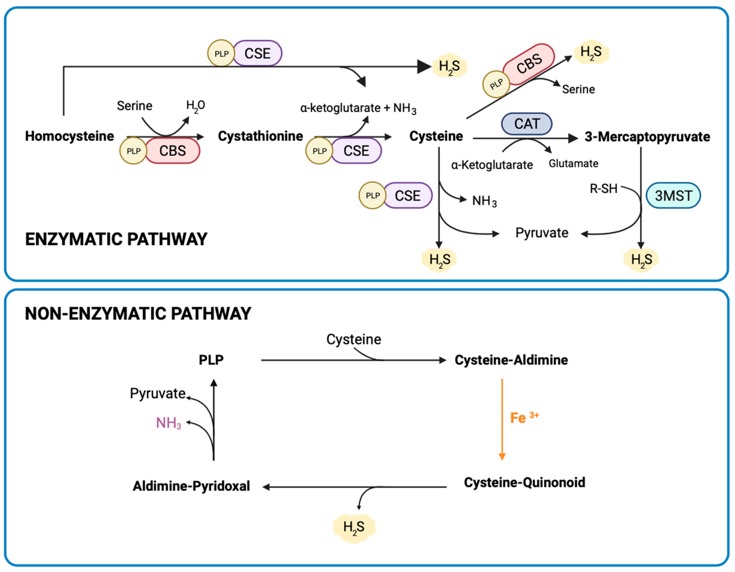 Nutrients 16 00309 g001