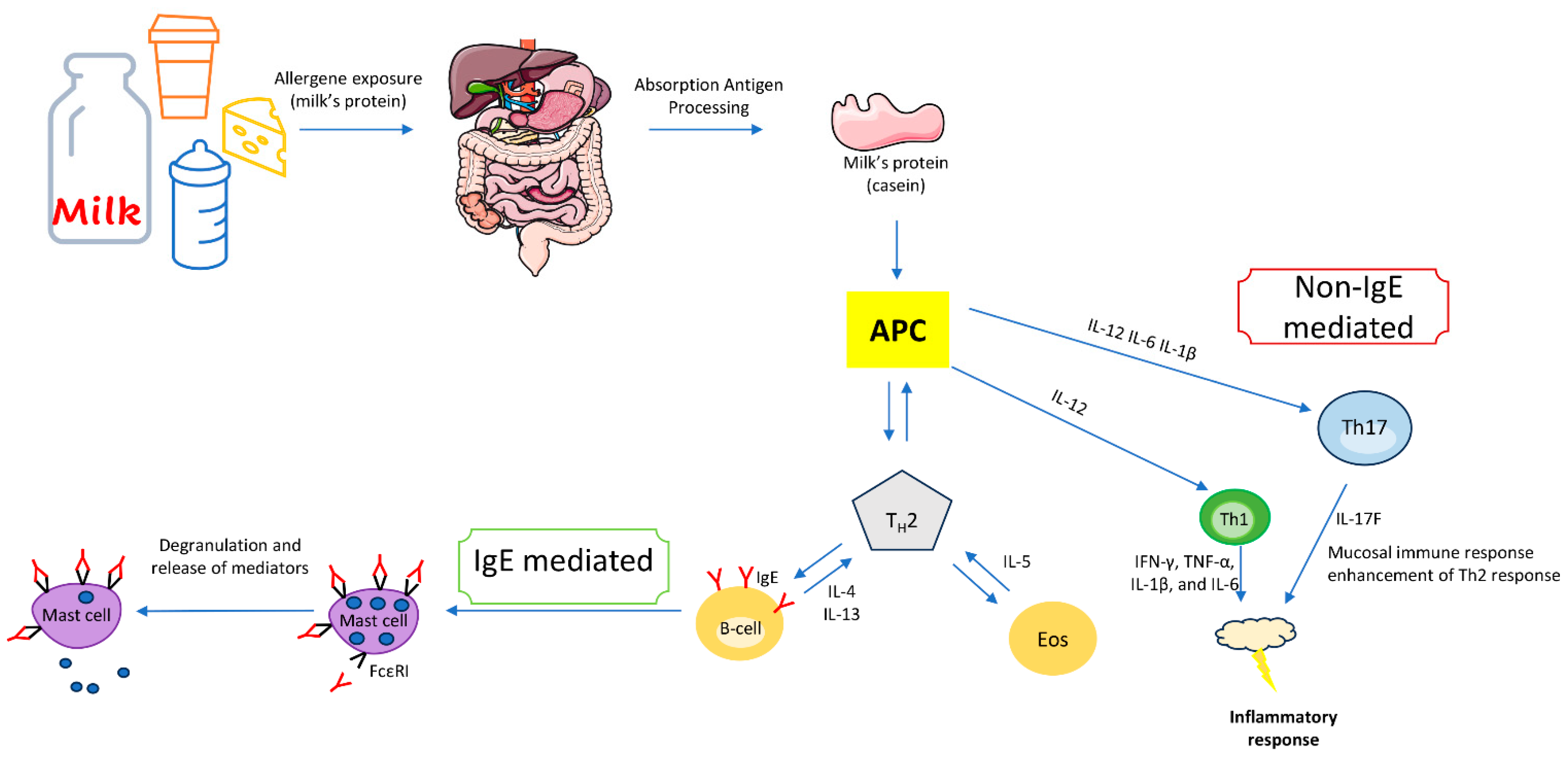 Nutrients 16 00320 g003 Nutrients 16 00320 g003