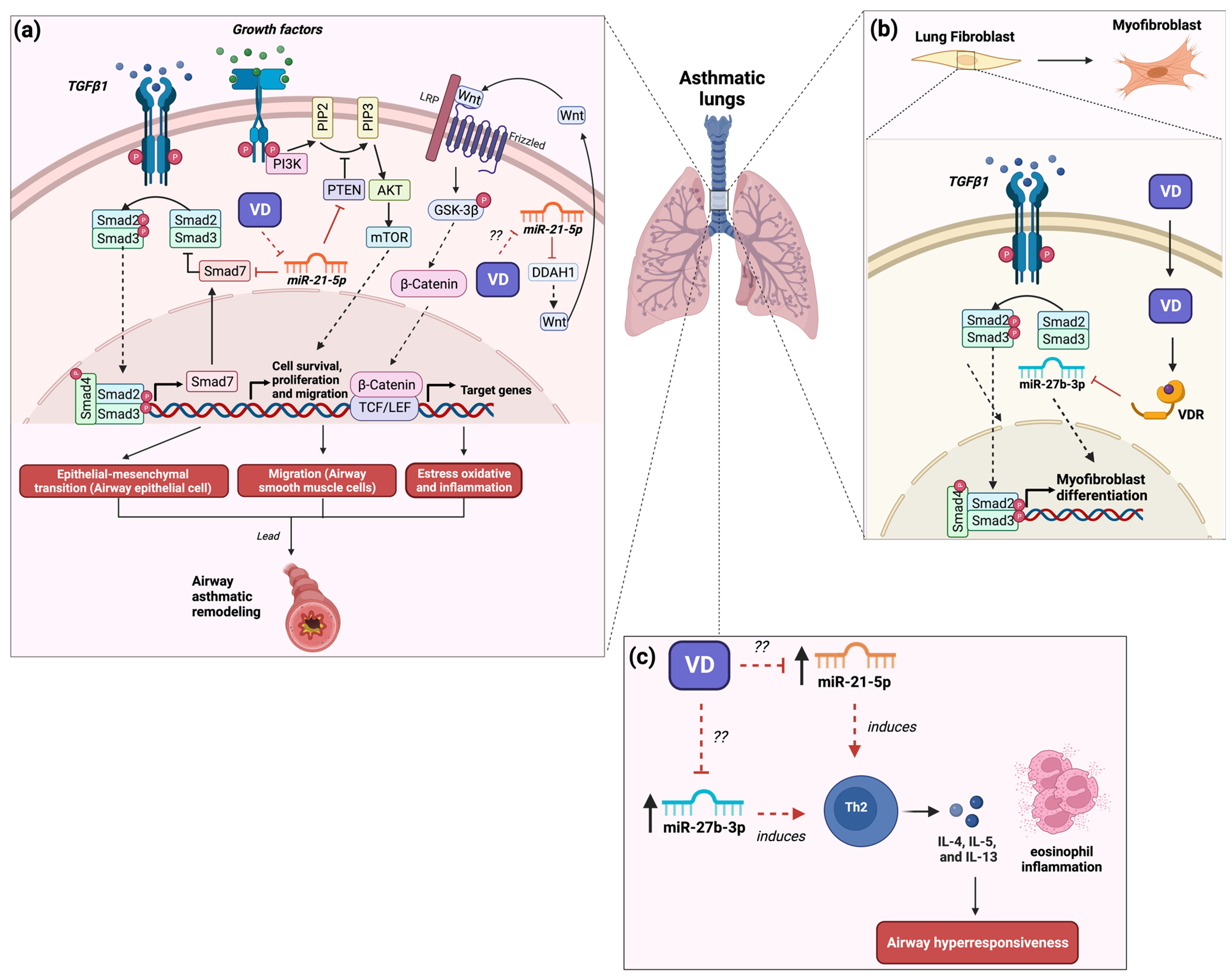 Nutrients | Free Full-Text | The Roles of MicroRNAs in Asthma and 