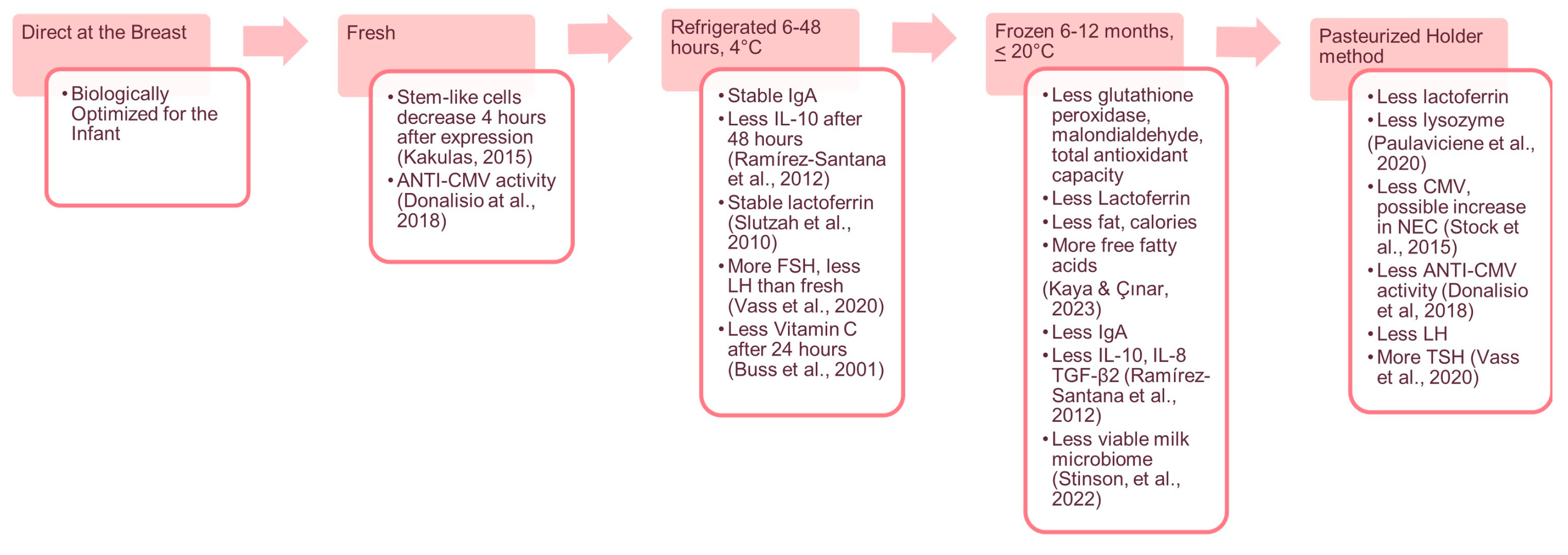 Nutrients 16 00362 g001 Nutrients 16 00362 g001