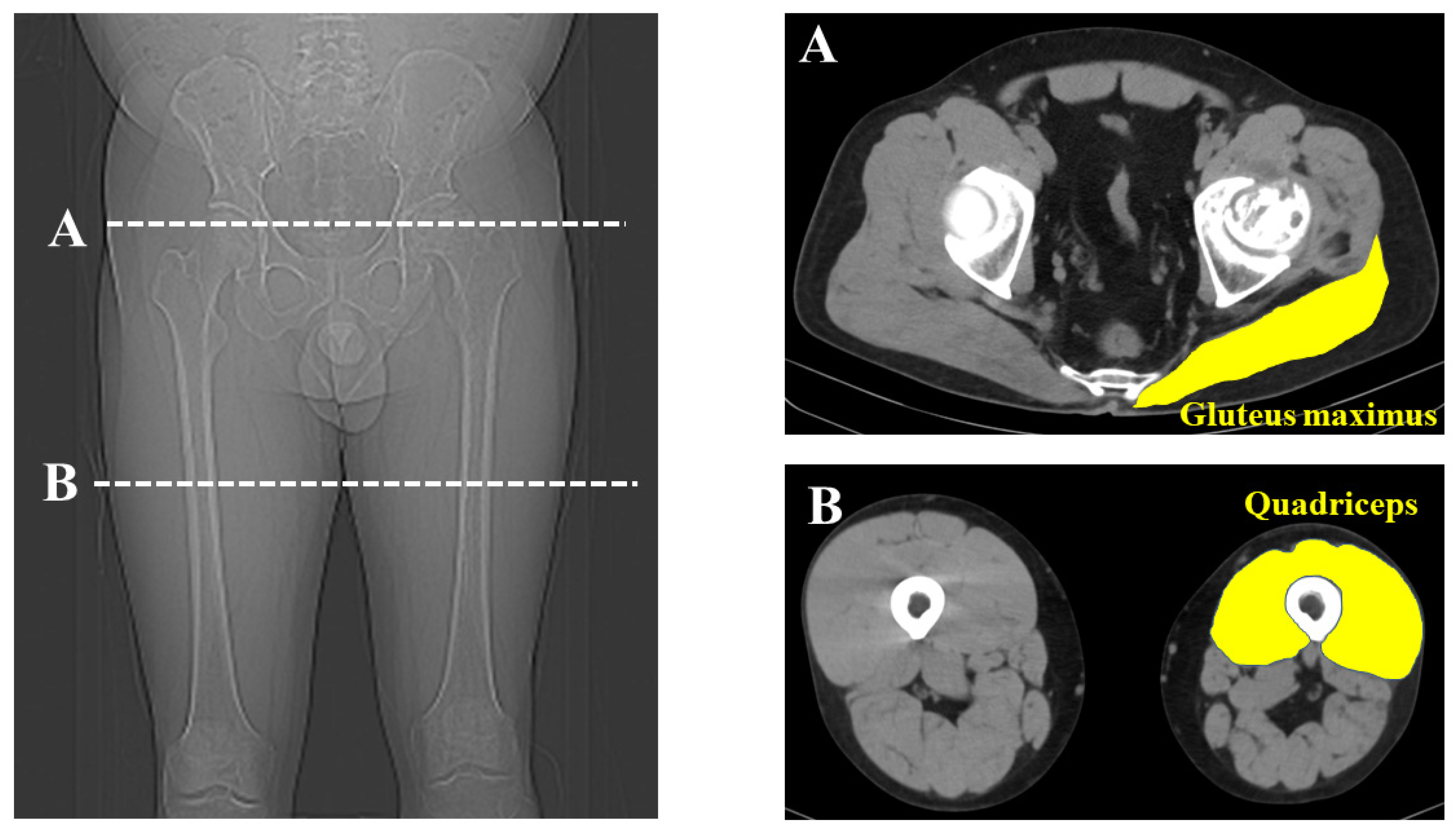 Nutrients 16 00386 g002