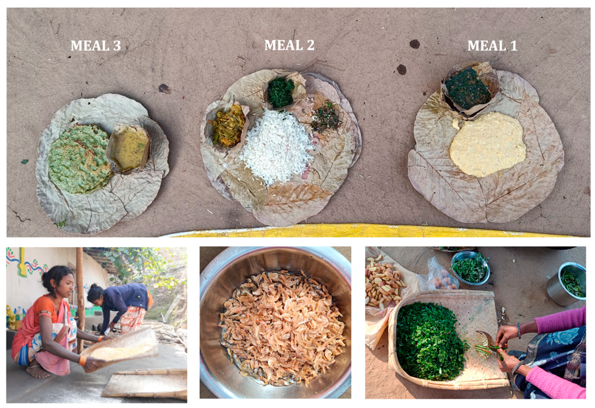 Nutrients 16 00447 g001