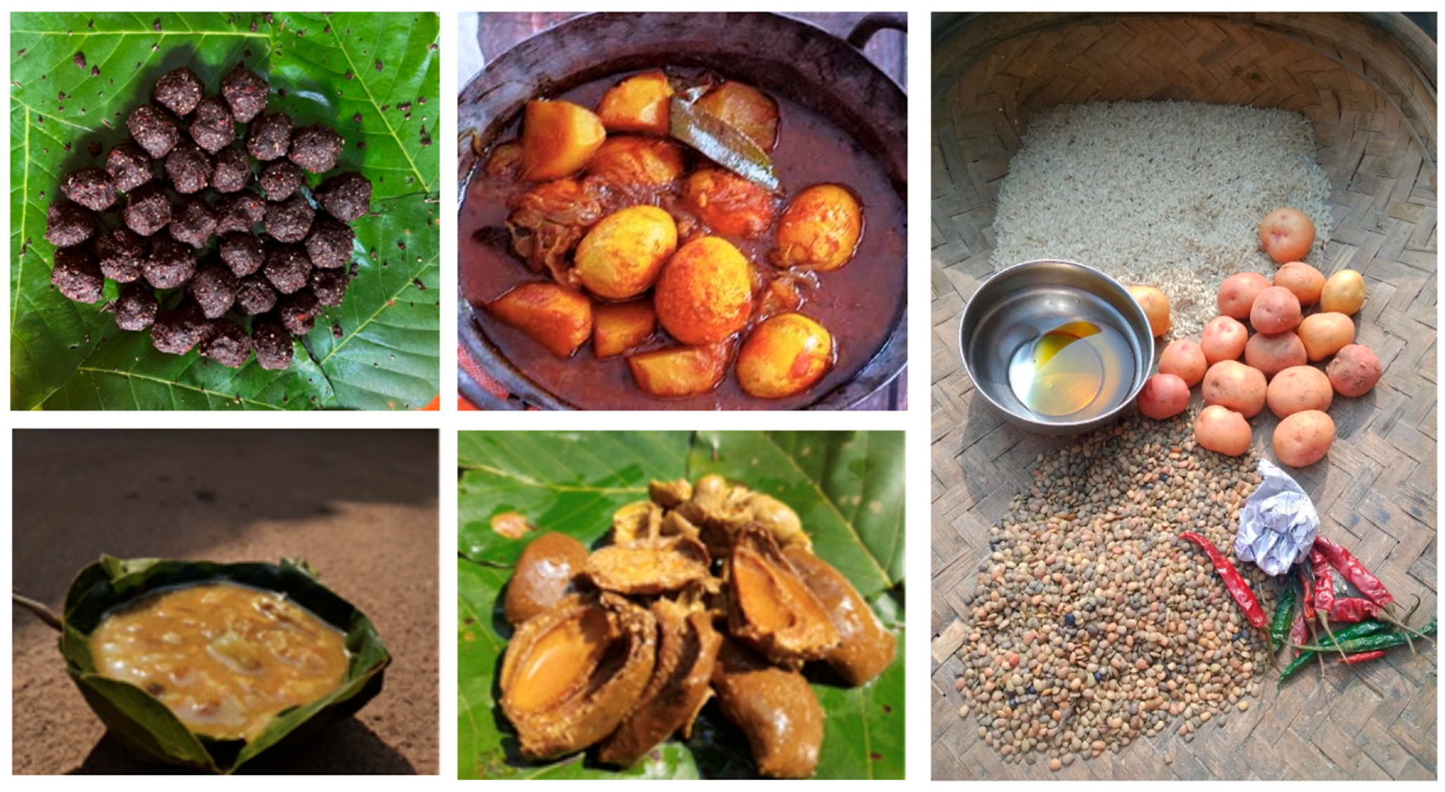 Nutrients 16 00447 g002