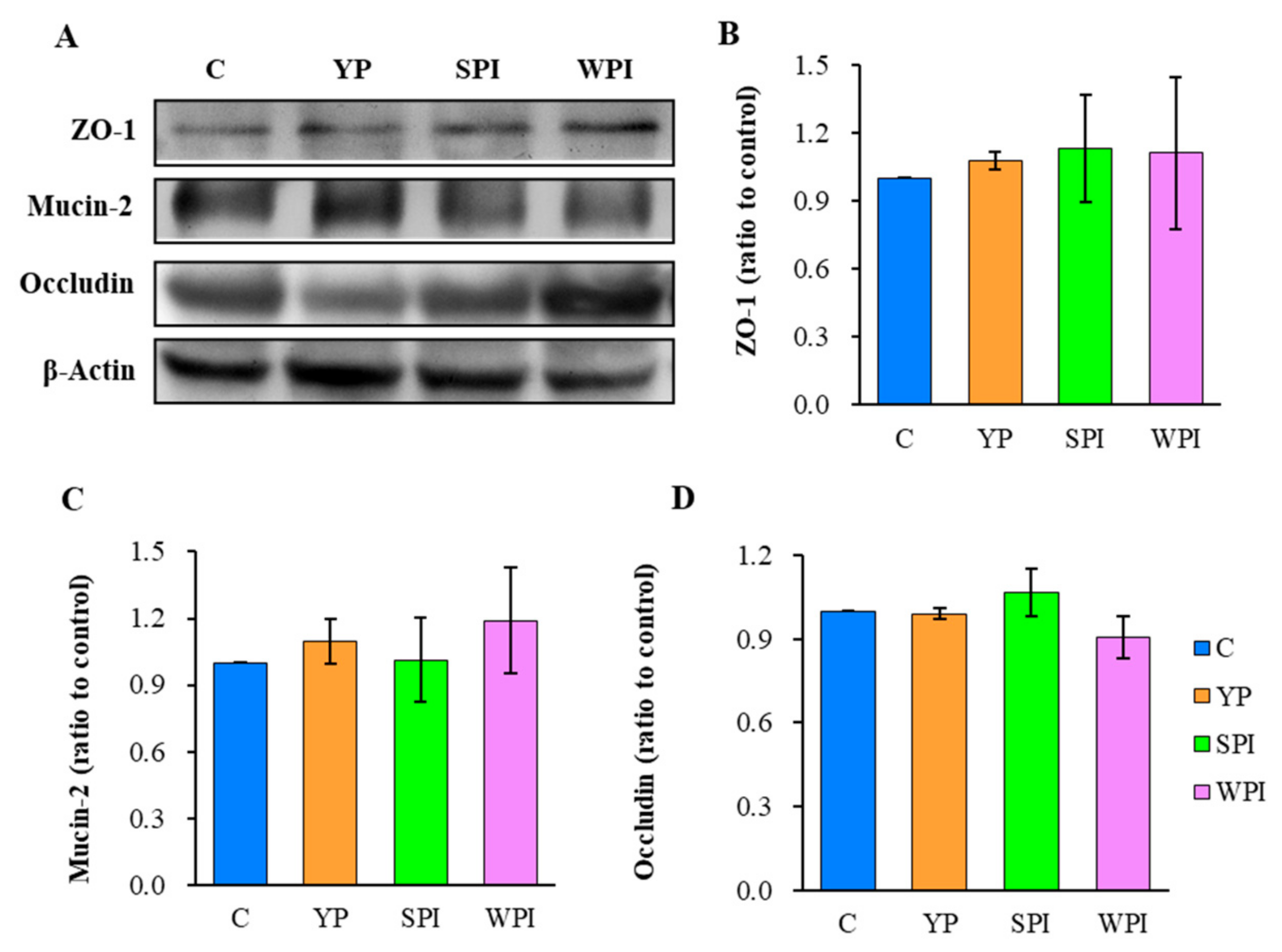 Nutrients 16 00458 g005