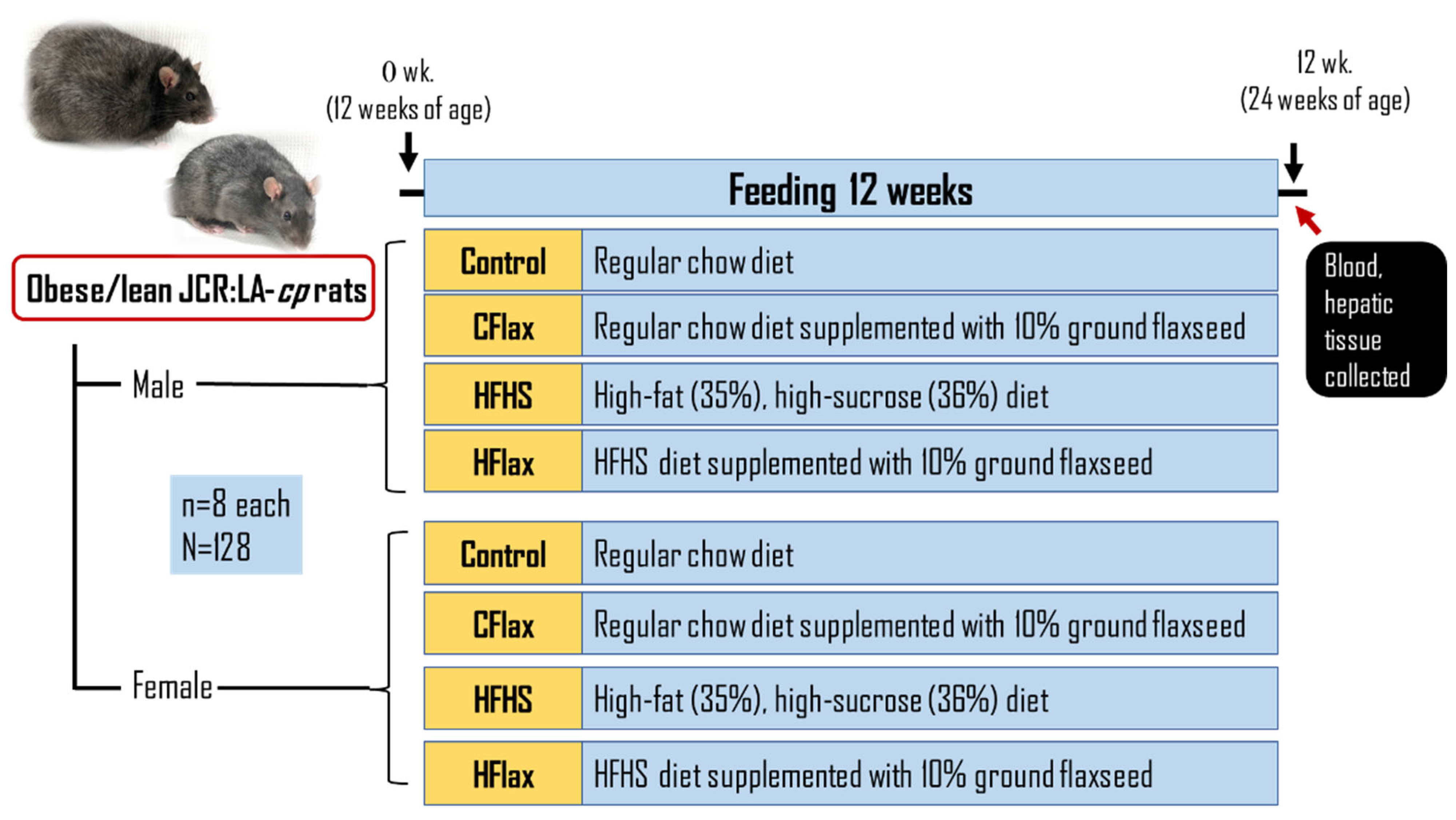 Nutrients 16 00466 g001 Nutrients 16 00466 g001