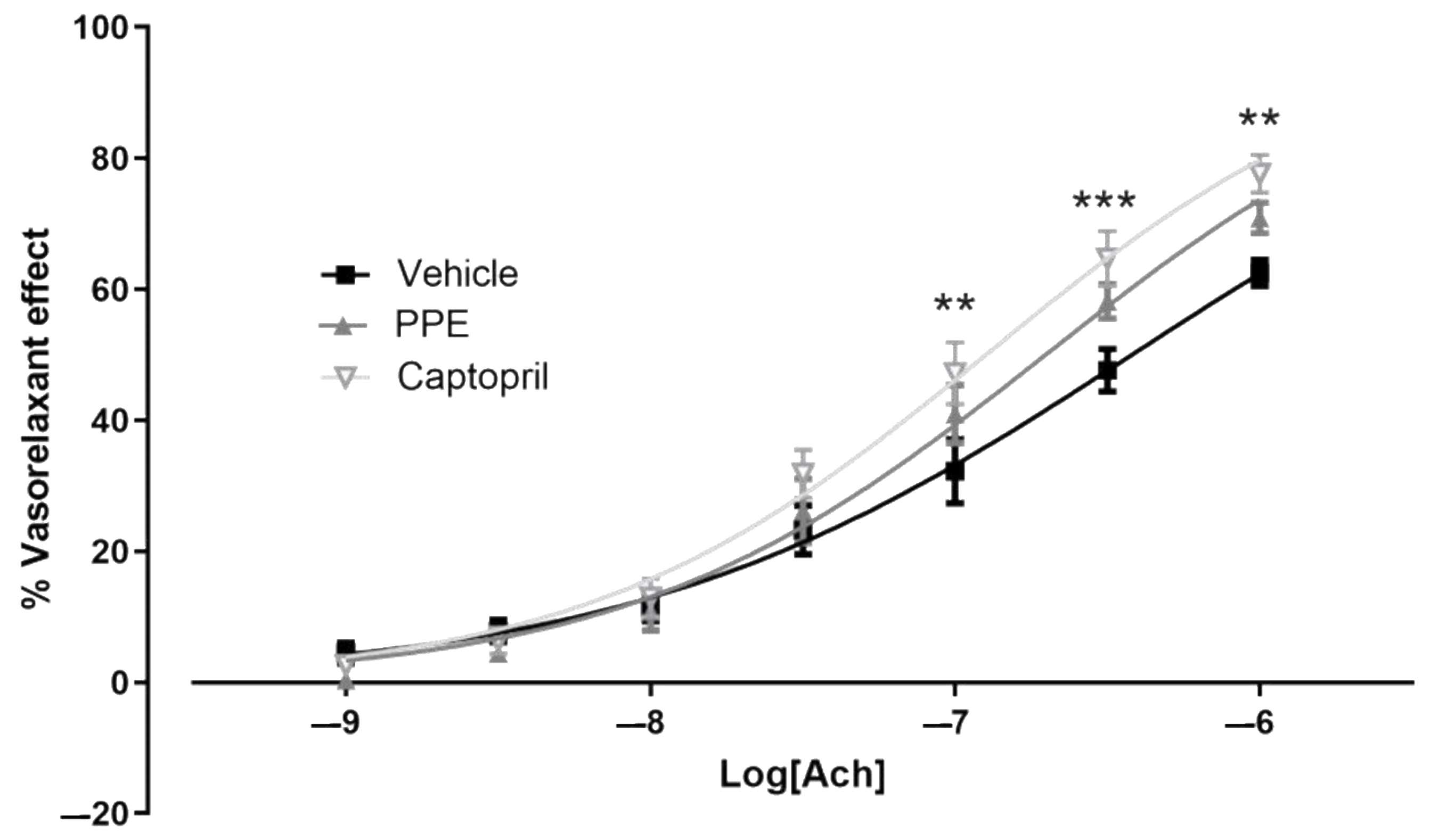 Nutrients 16 00506 g004