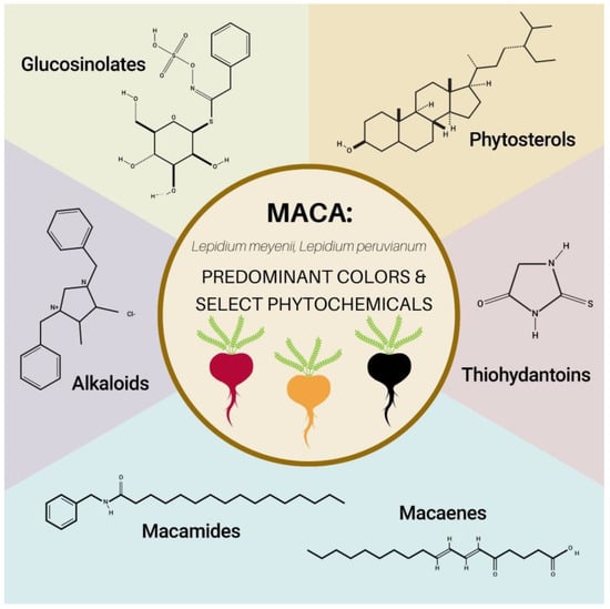 Nutrients | Free Full-Text | Not All Maca Is Created Equal: A 