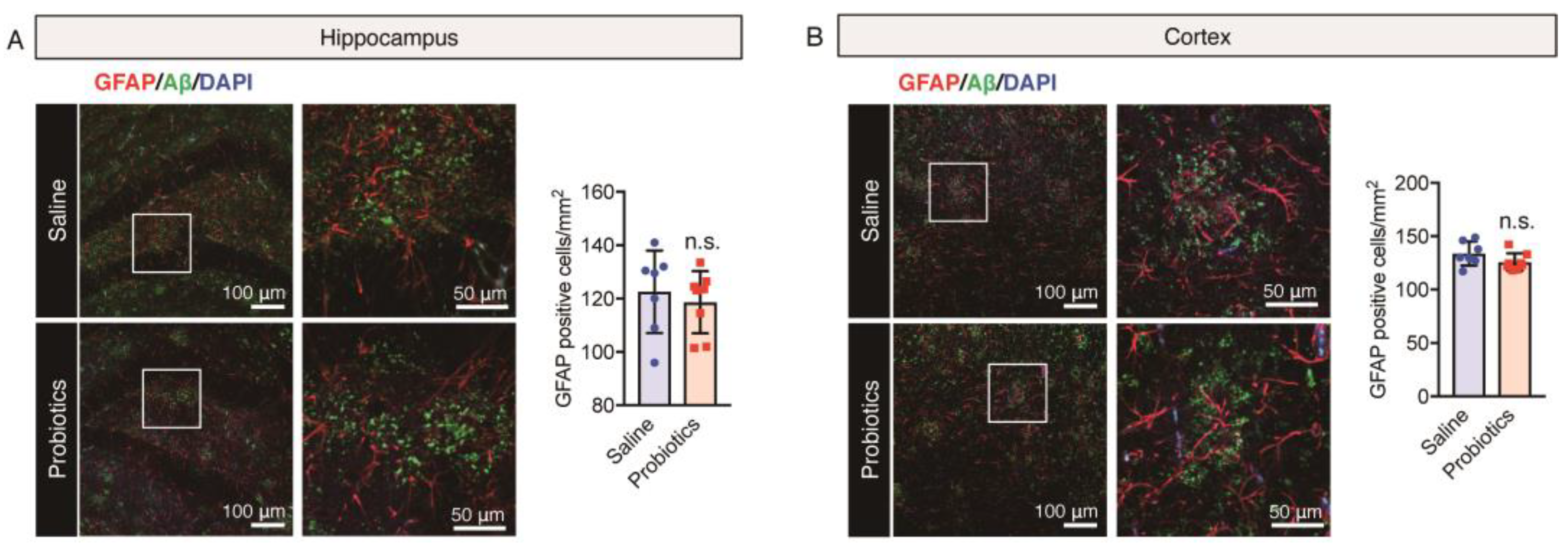 Nutrients 16 00538 g004