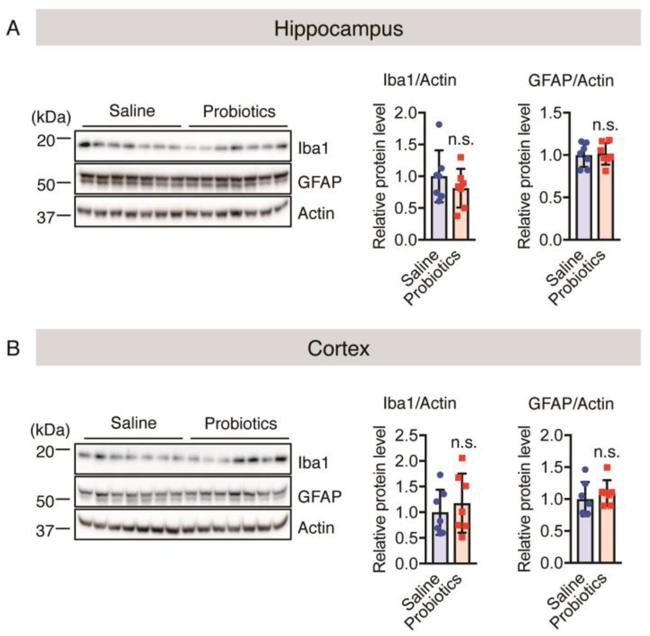 Nutrients 16 00538 g005