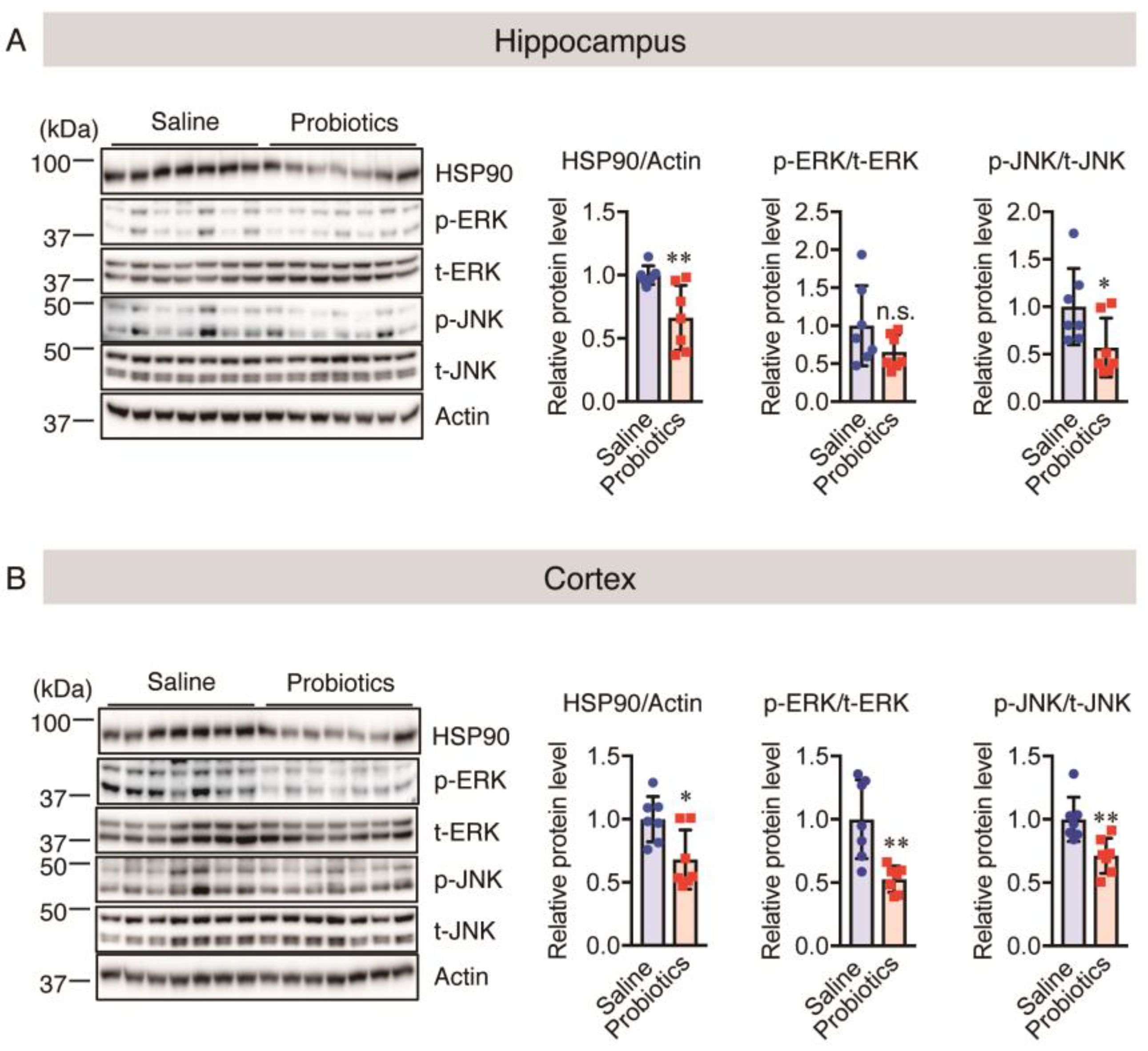 Nutrients 16 00538 g006