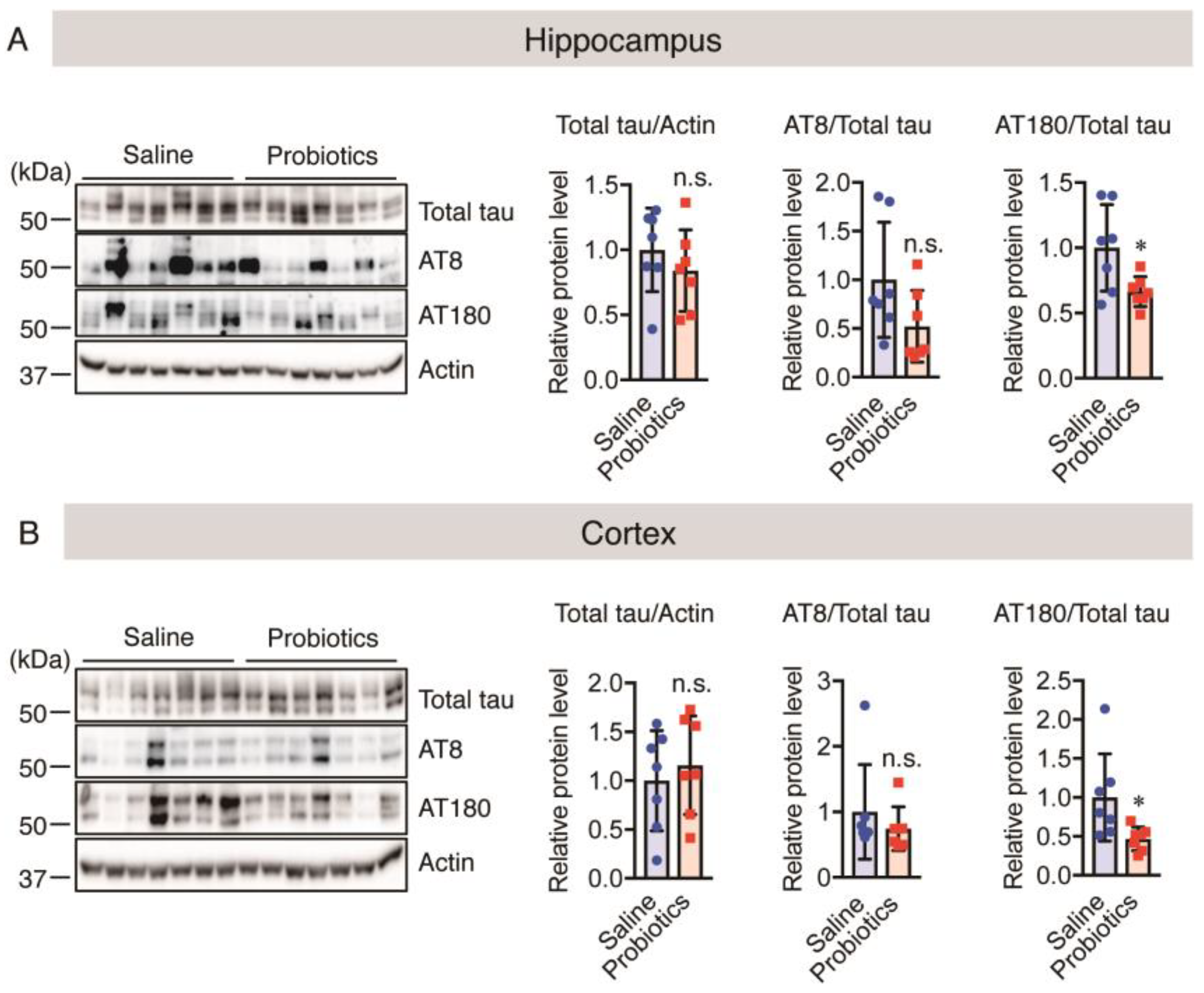 Nutrients 16 00538 g008