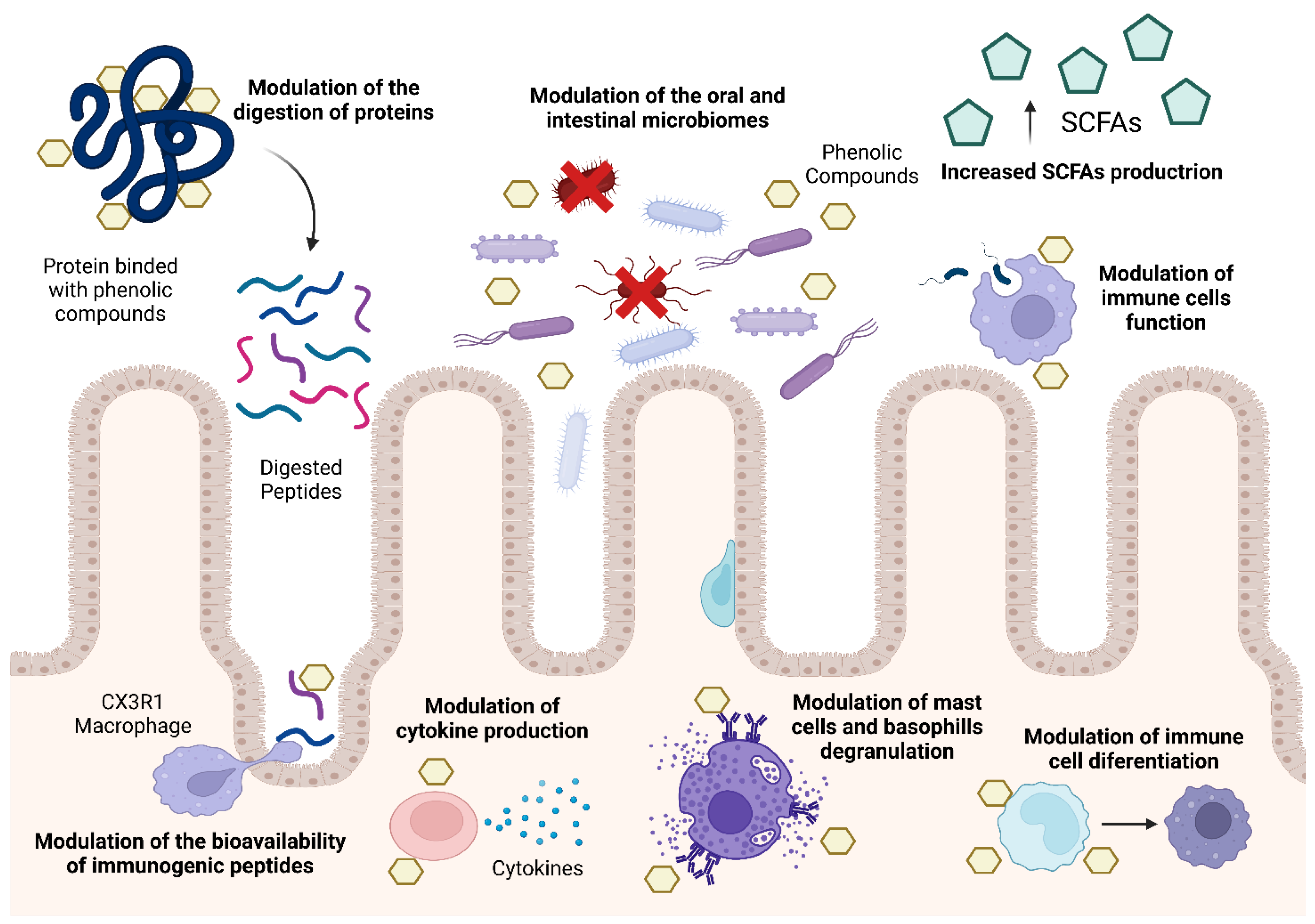 Nutrients 16 00551 g002
