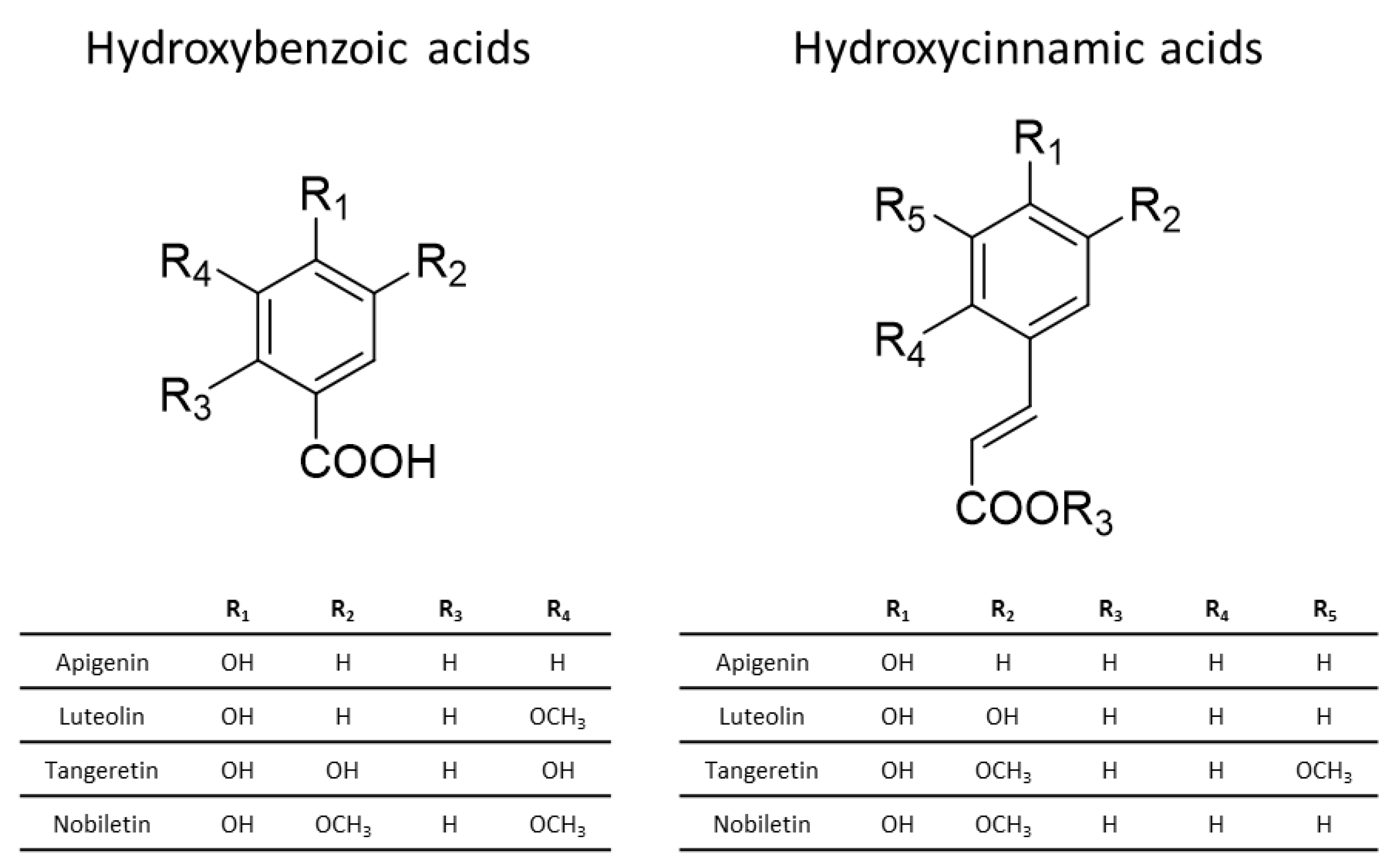 Nutrients 16 00551 g005