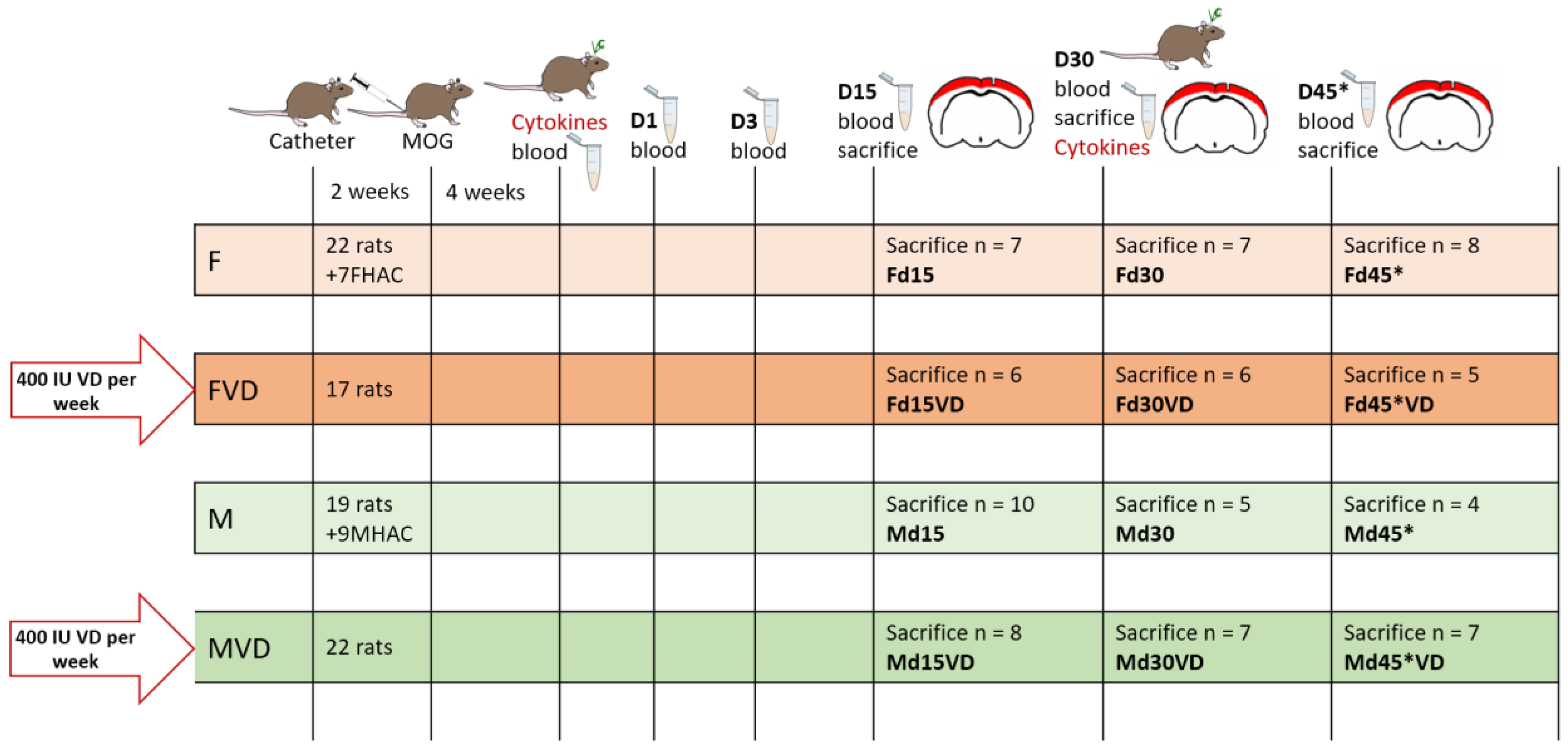 Nutrients | Free Full-Text | Sex Differences under Vitamin D  Supplementation in an Animal Model of Progressive Multiple Sclerosis