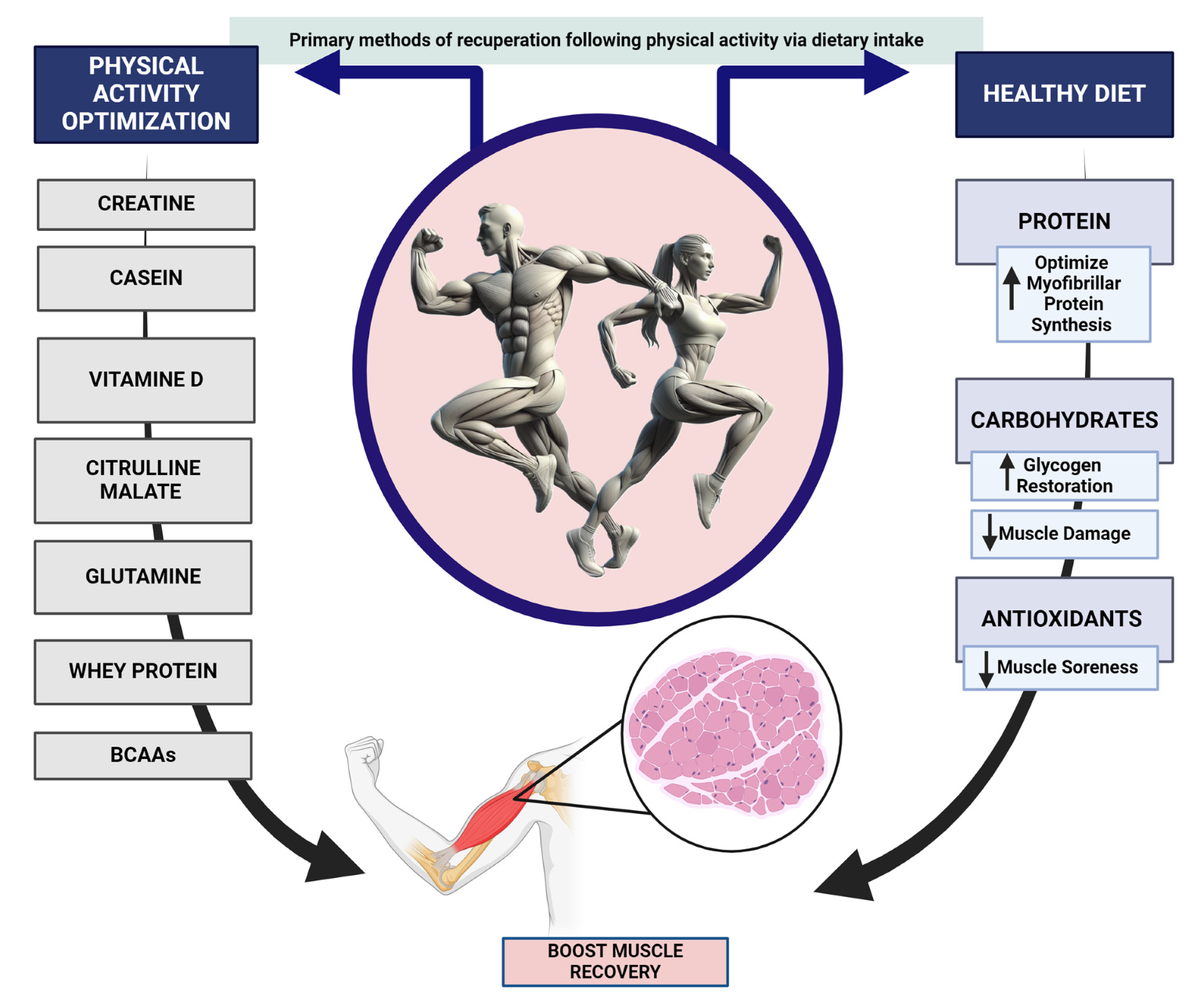 The difference in the nutritional needs of athletes and non-athletes – IB  BioPsychology