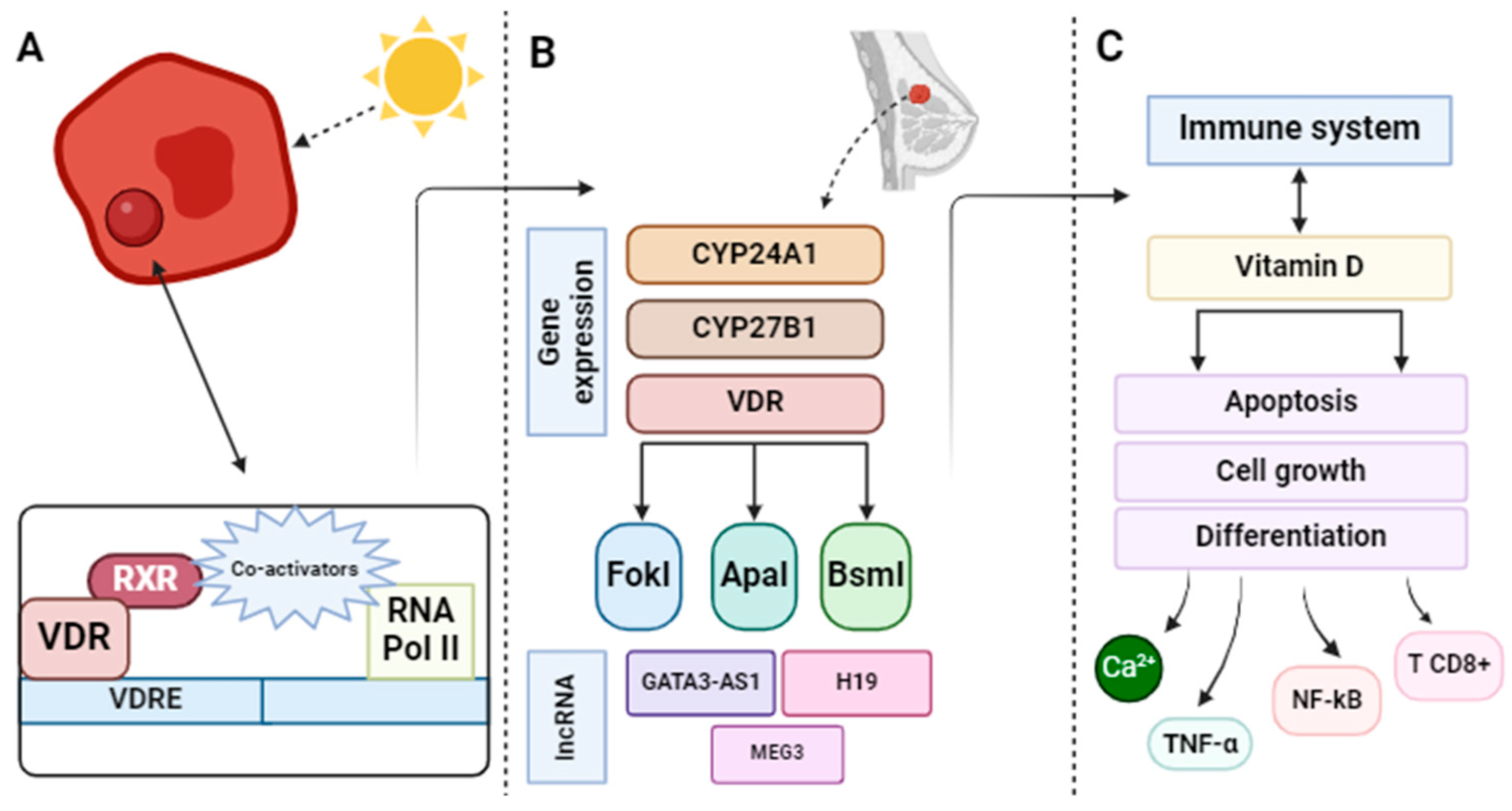 Nutrients 16 00573 g003