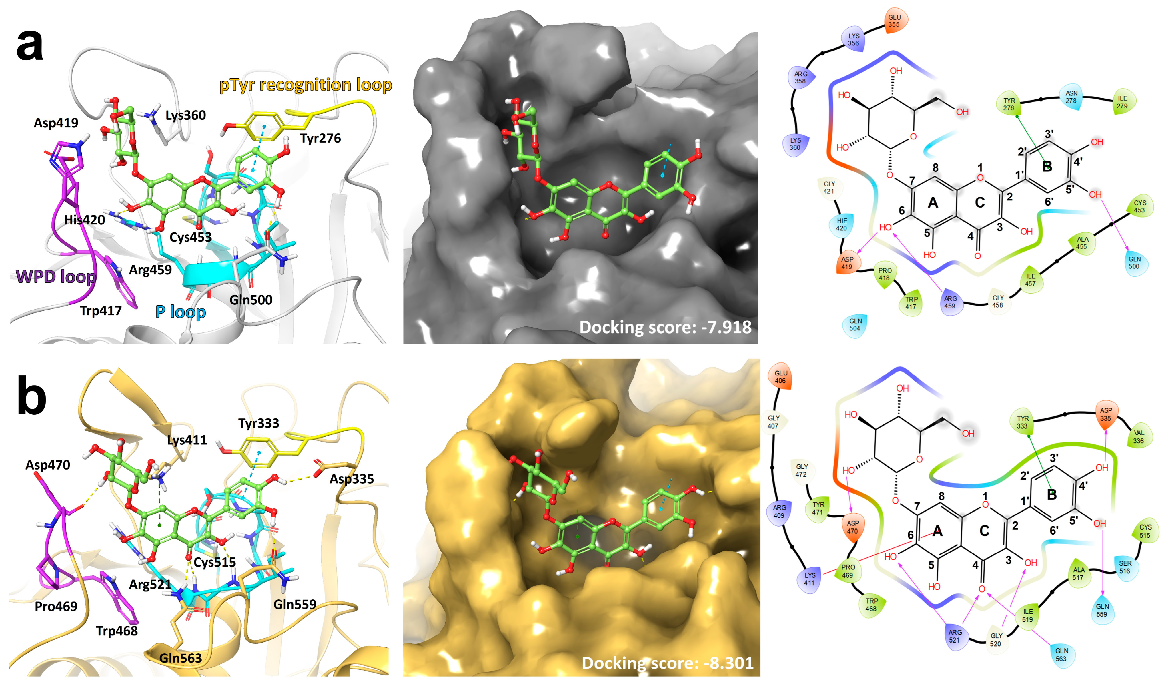 Nutrients 16 00647 g001